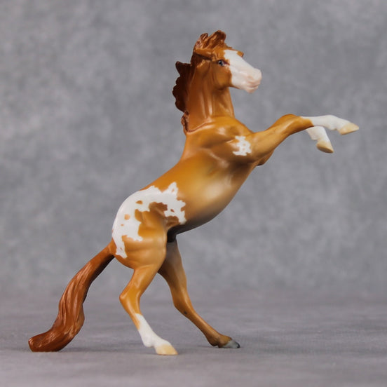 "Obrian" LE-3 Chestnut Appaloosa Rearing Chip By Jamie Adamson $99 Chips Sale 02/03/2025