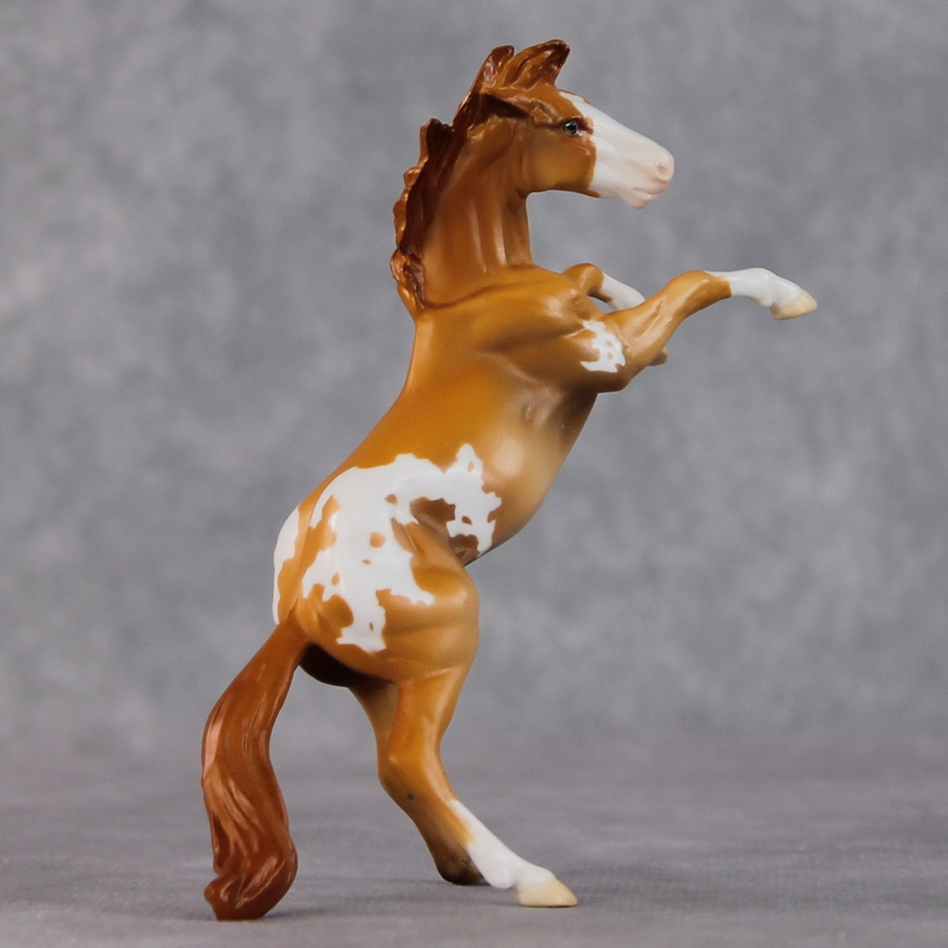 "Obrian" LE-3 Chestnut Appaloosa Rearing Chip By Jamie Adamson $99 Chips Sale 02/03/2025