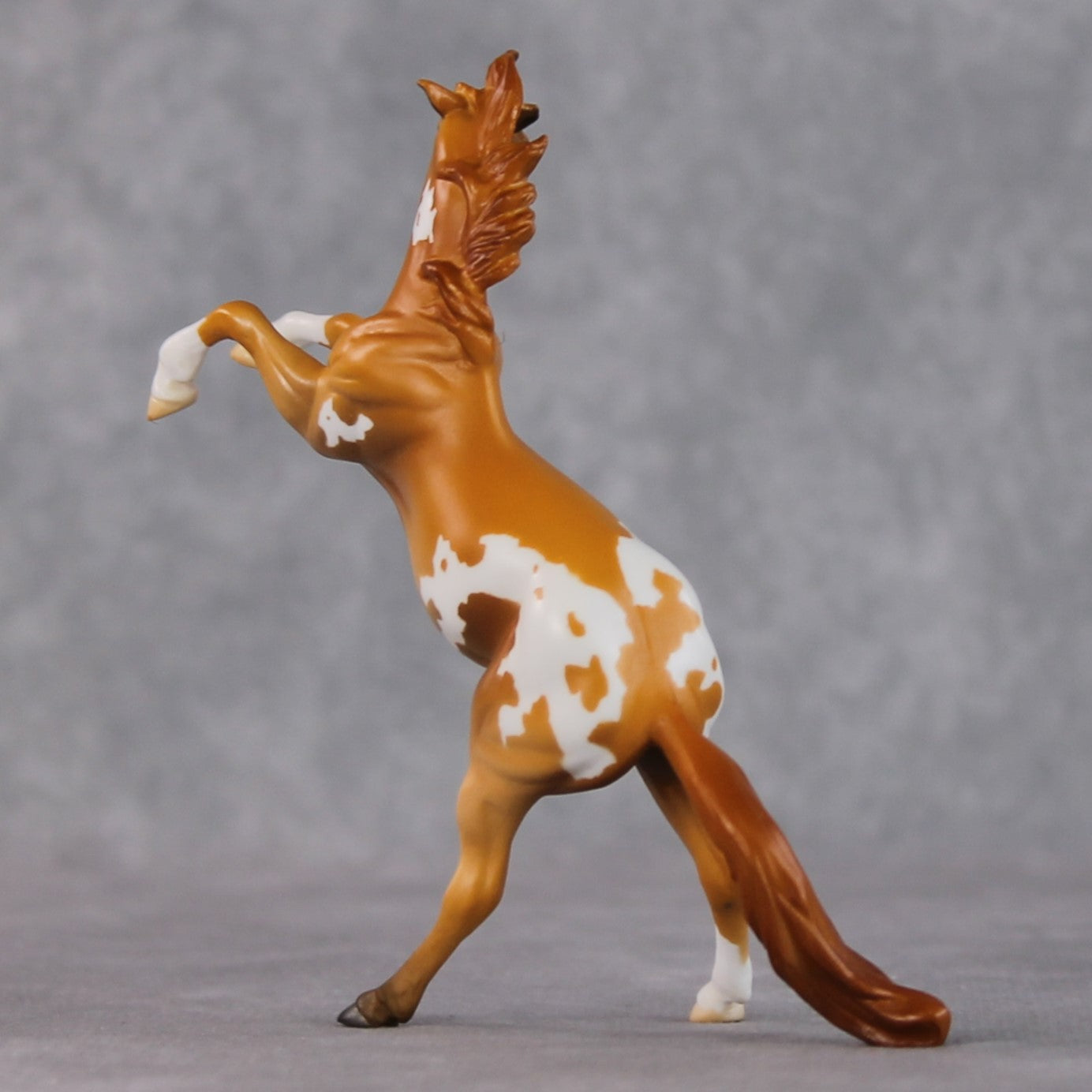 "Obrian" LE-3 Chestnut Appaloosa Rearing Chip By Jamie Adamson $99 Chips Sale 02/03/2025