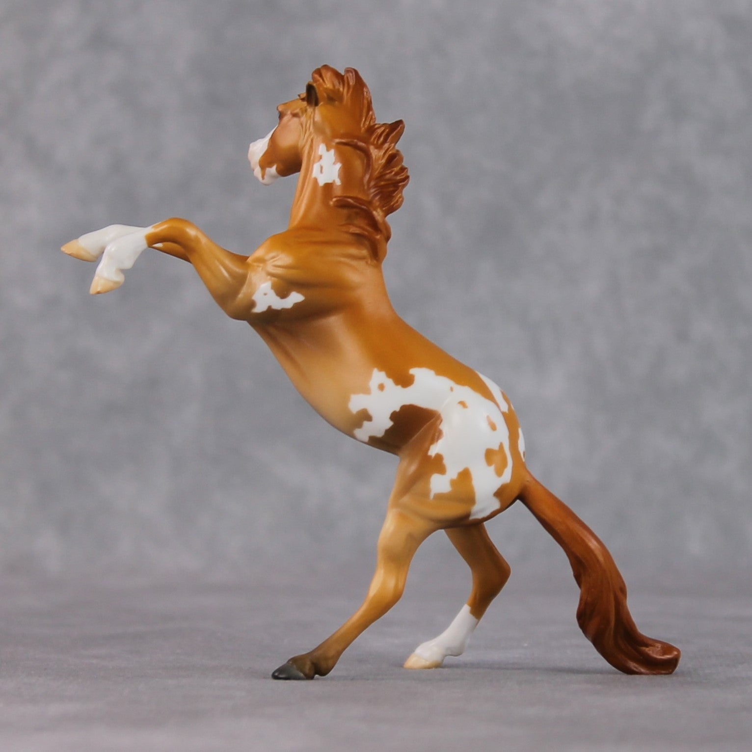 "Obrian" LE-3 Chestnut Appaloosa Rearing Chip By Jamie Adamson $99 Chips Sale 02/03/2025