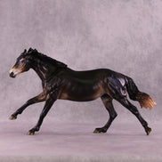 SAMPLE Black Bat: Umbra LE-25 FCM Volo by Jess Hamill SS0926