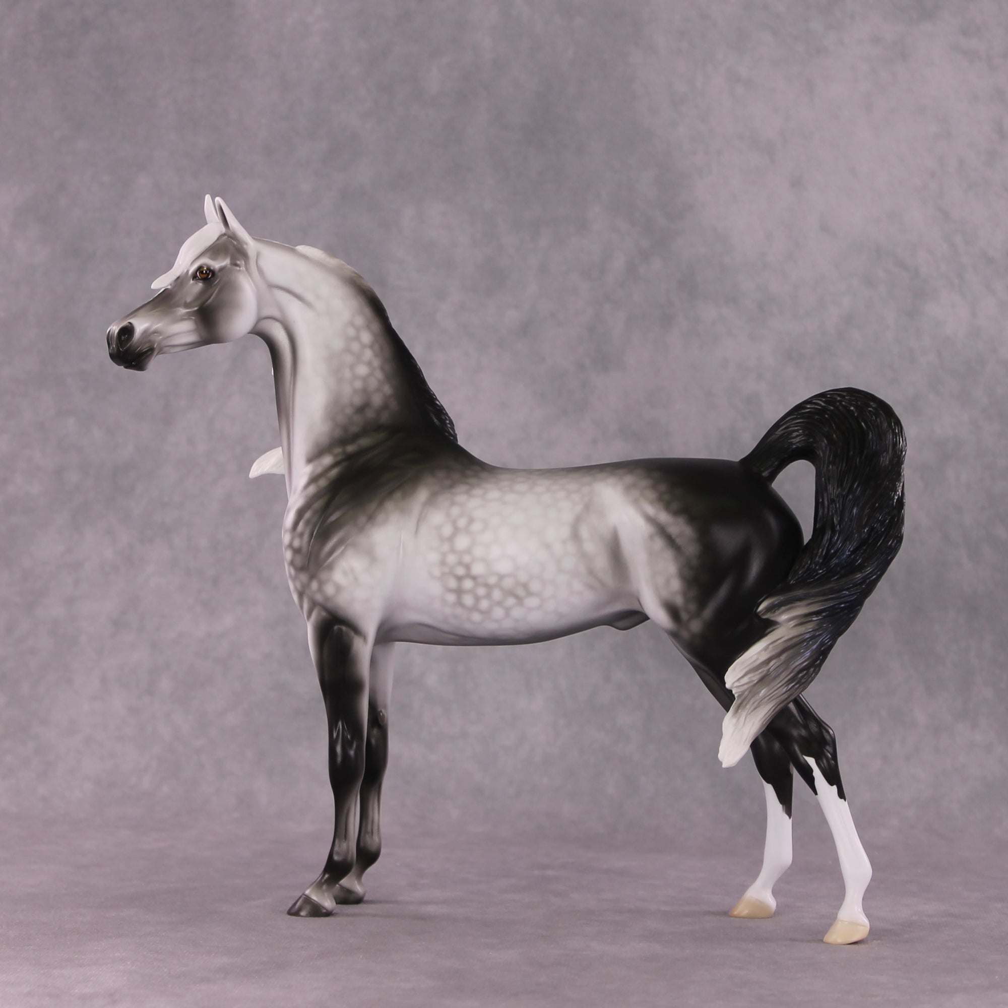 "Prospero" LE-15 Arabian Stallion By Ellen Robbins CL25