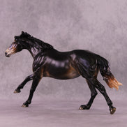 SAMPLE Black Bat: Umbra LE-25 FCM Volo by Jess Hamill SS0926