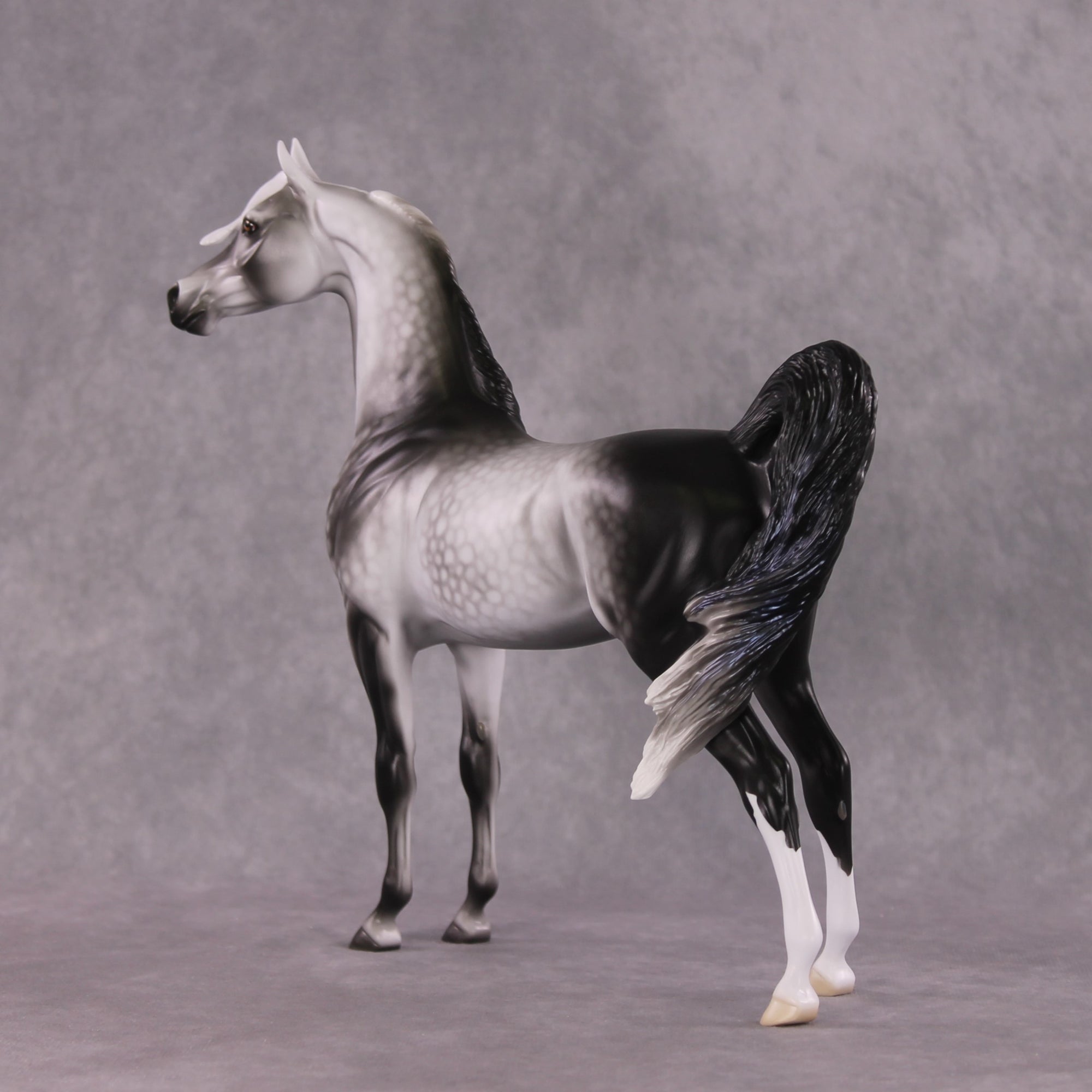 "Prospero" LE-15 Arabian Stallion By Ellen Robbins CL25