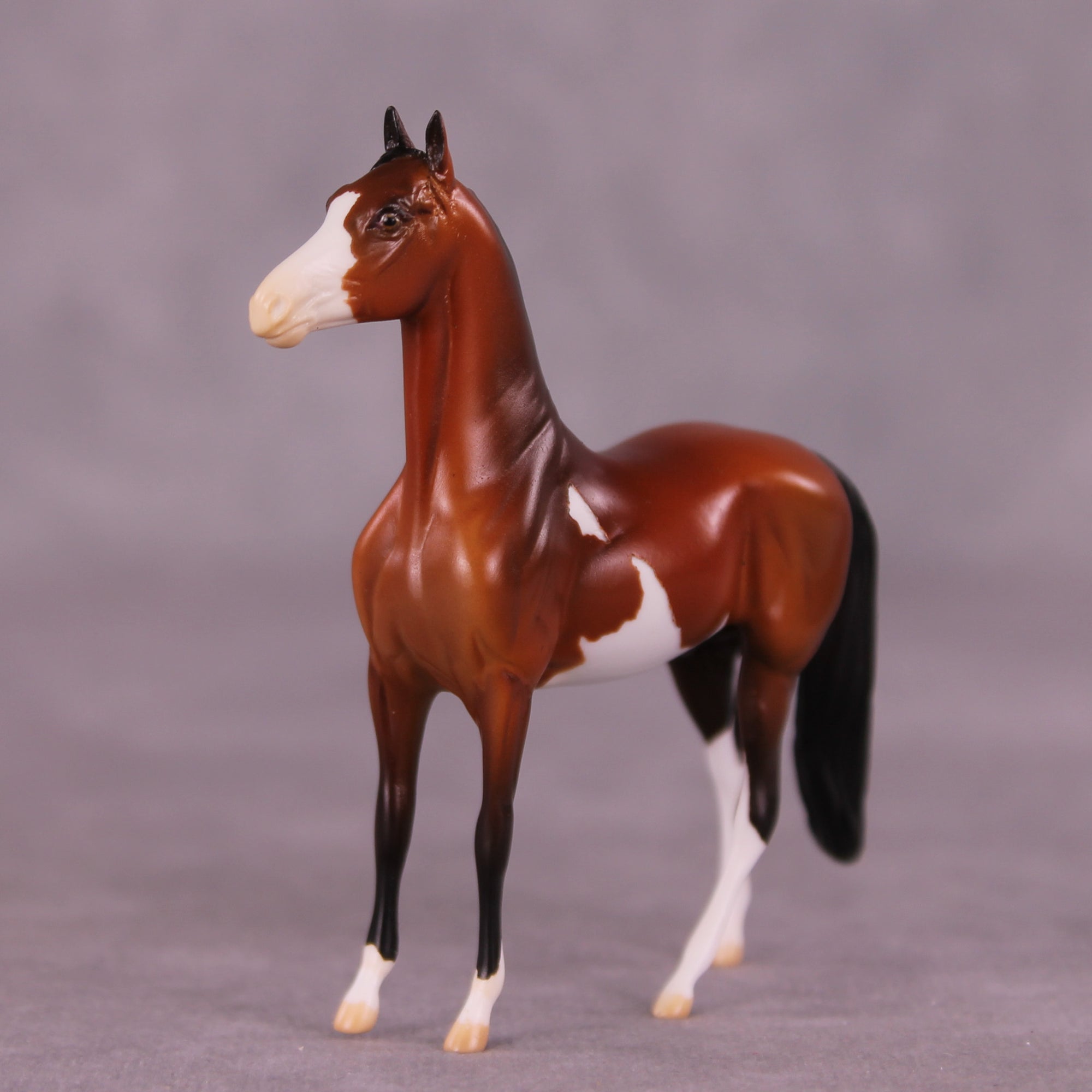 Little Treat LE-5 by Anna Rieck August $99 Chips Sale