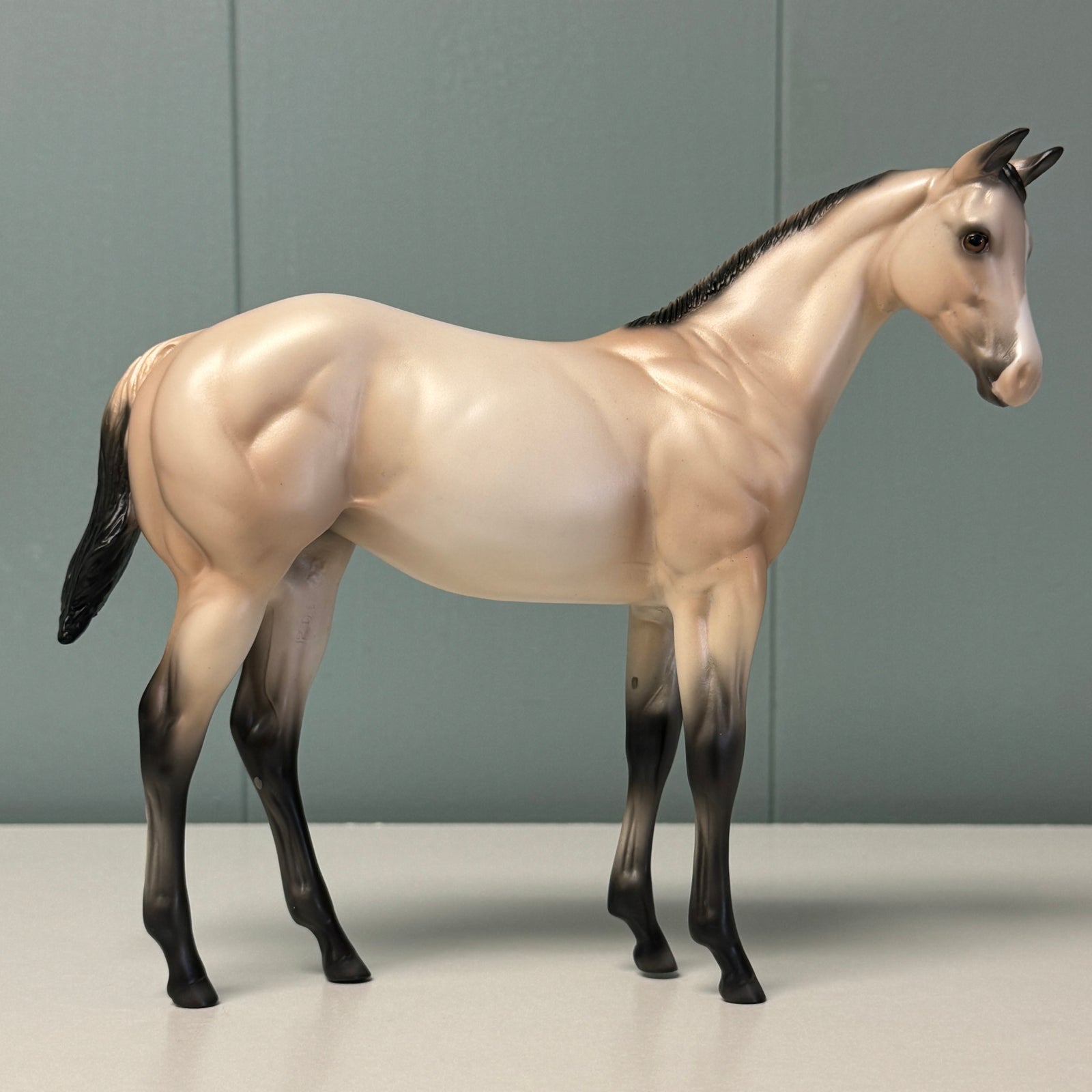 Sandi OOAK Buckskin Weanling By Ellen Robbins EQ24