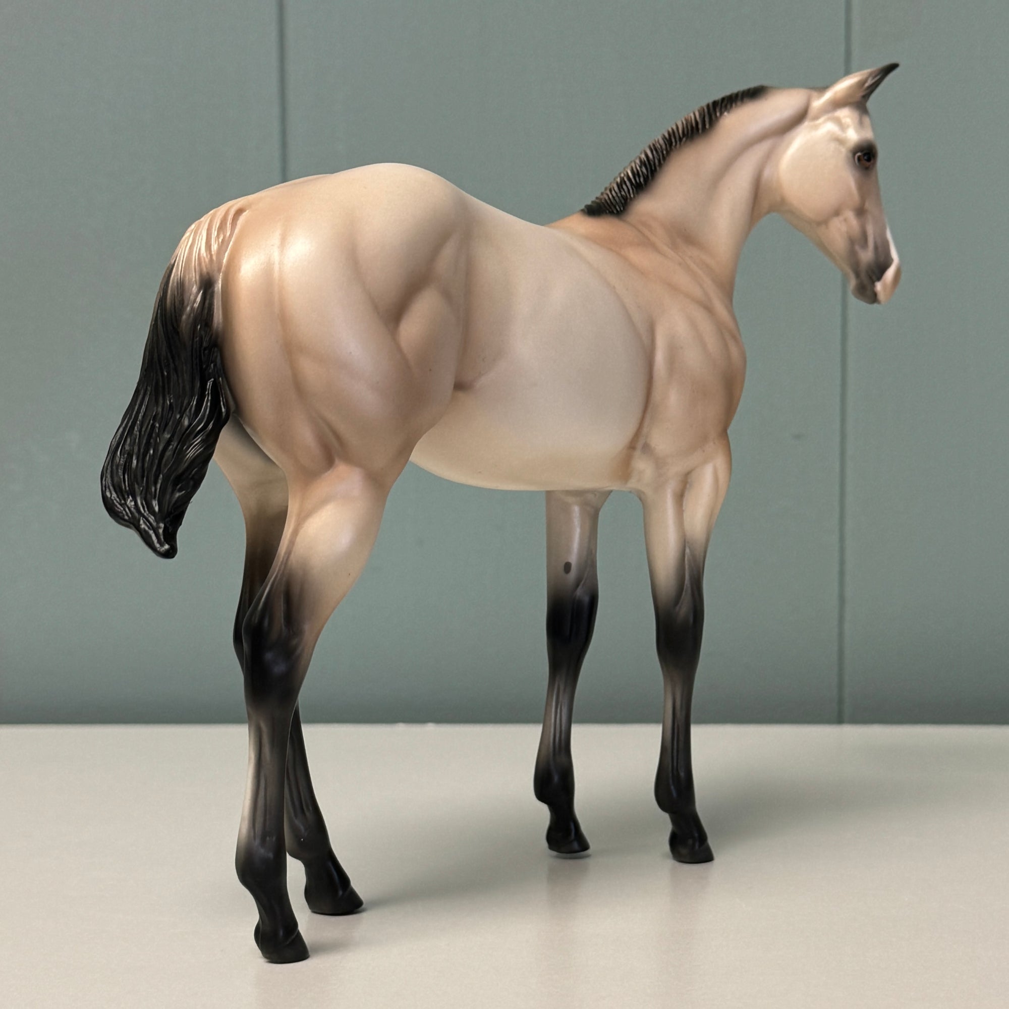 Sandi OOAK Buckskin Weanling By Ellen Robbins EQ24