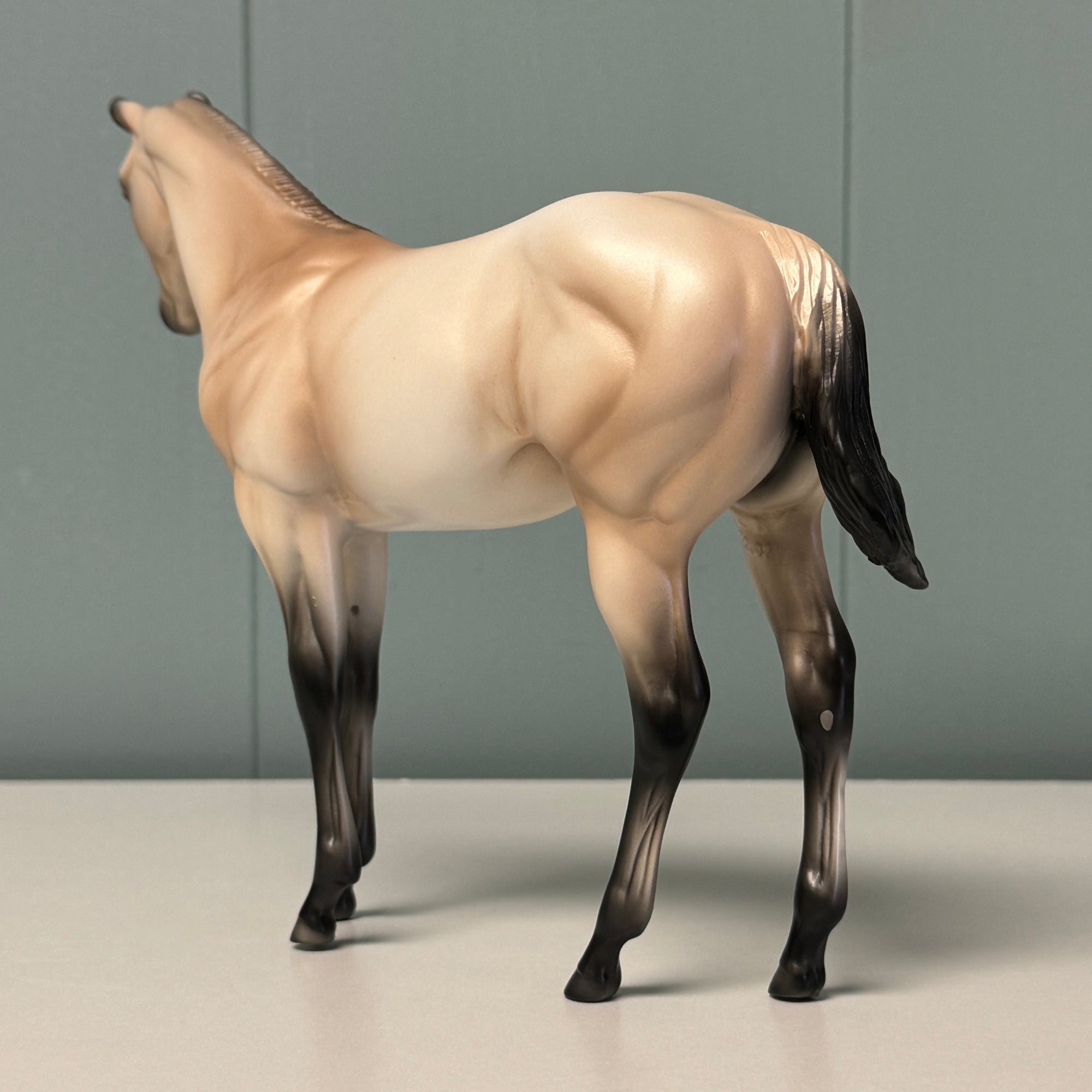 Sandi OOAK Buckskin Weanling By Ellen Robbins EQ24