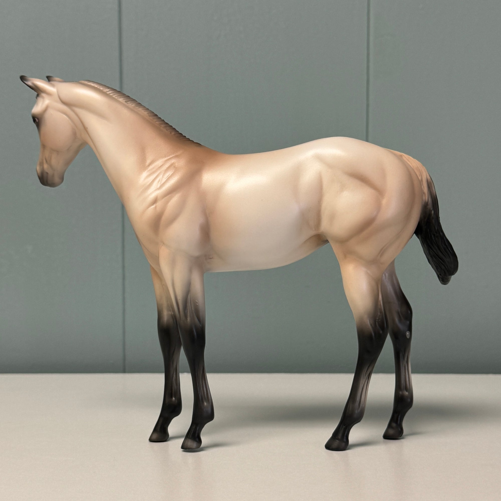 Sandi OOAK Buckskin Weanling By Ellen Robbins EQ24