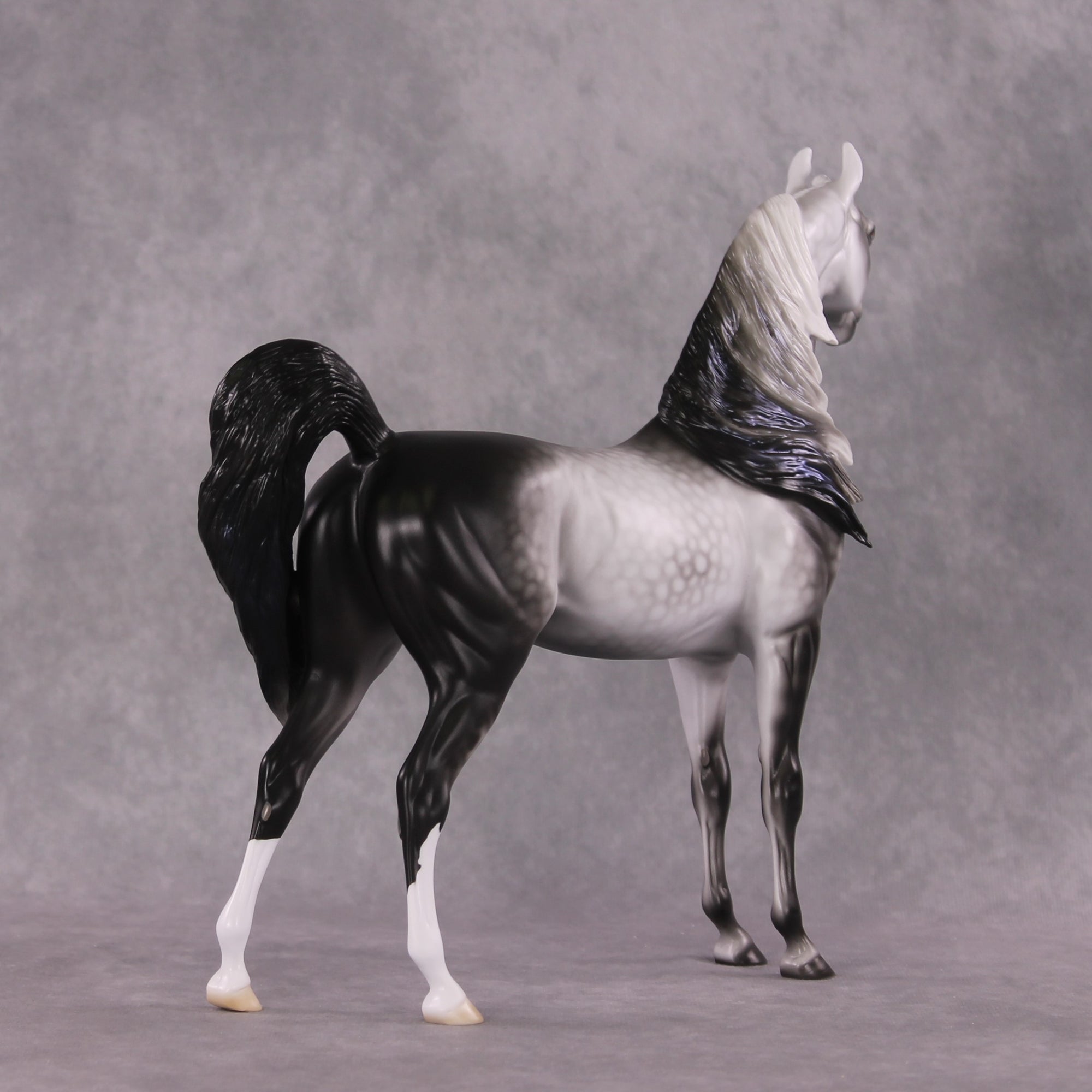 "Prospero" LE-15 Arabian Stallion By Ellen Robbins CL25