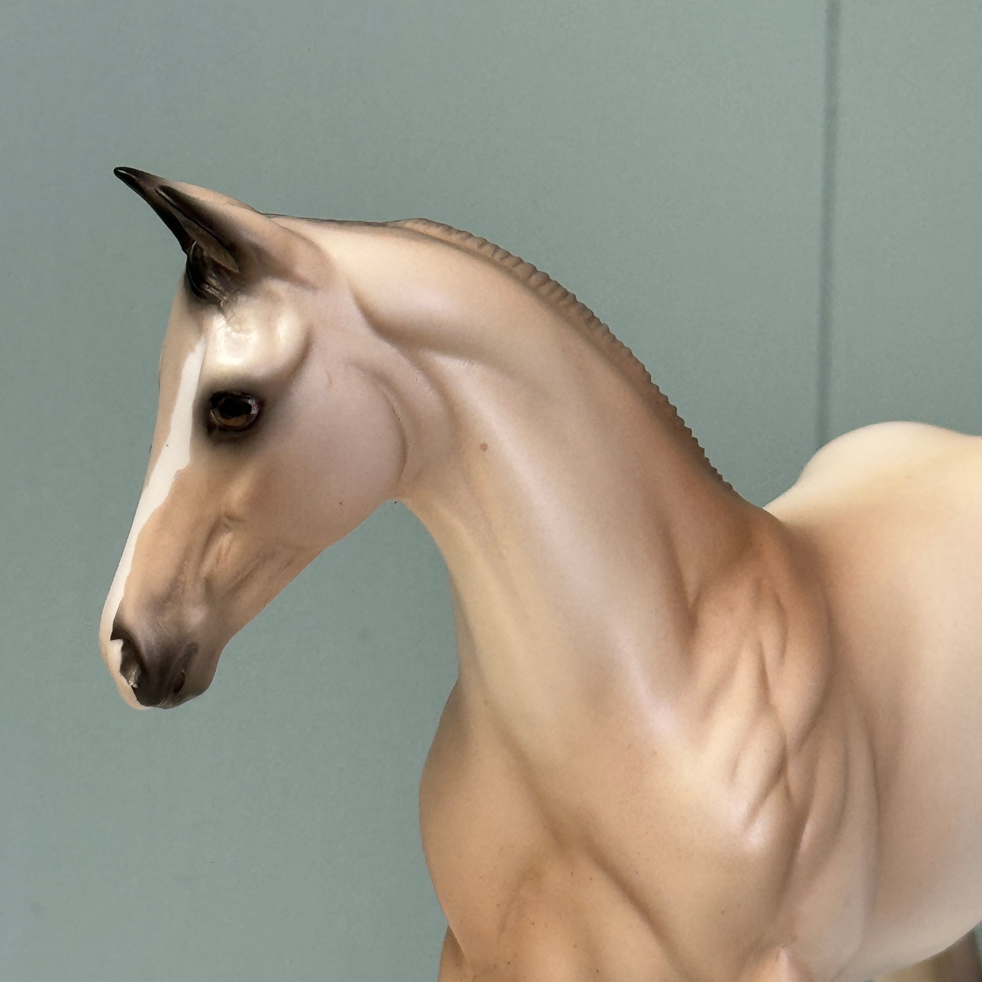 Sandi OOAK Buckskin Weanling By Ellen Robbins EQ24