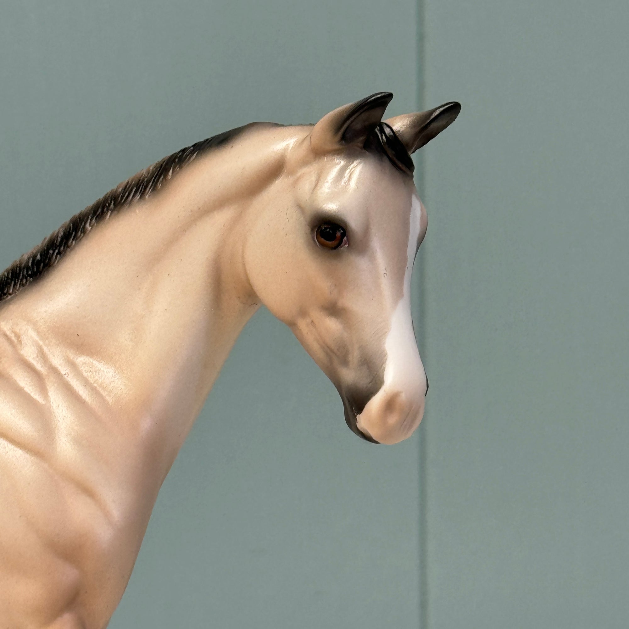 Sandi OOAK Buckskin Weanling By Ellen Robbins EQ24