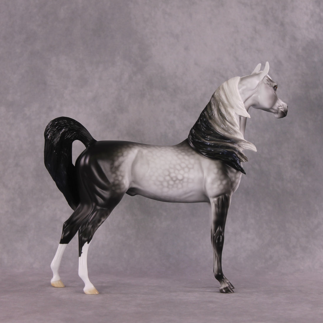 "Prospero" LE-15 Arabian Stallion By Ellen Robbins CL25