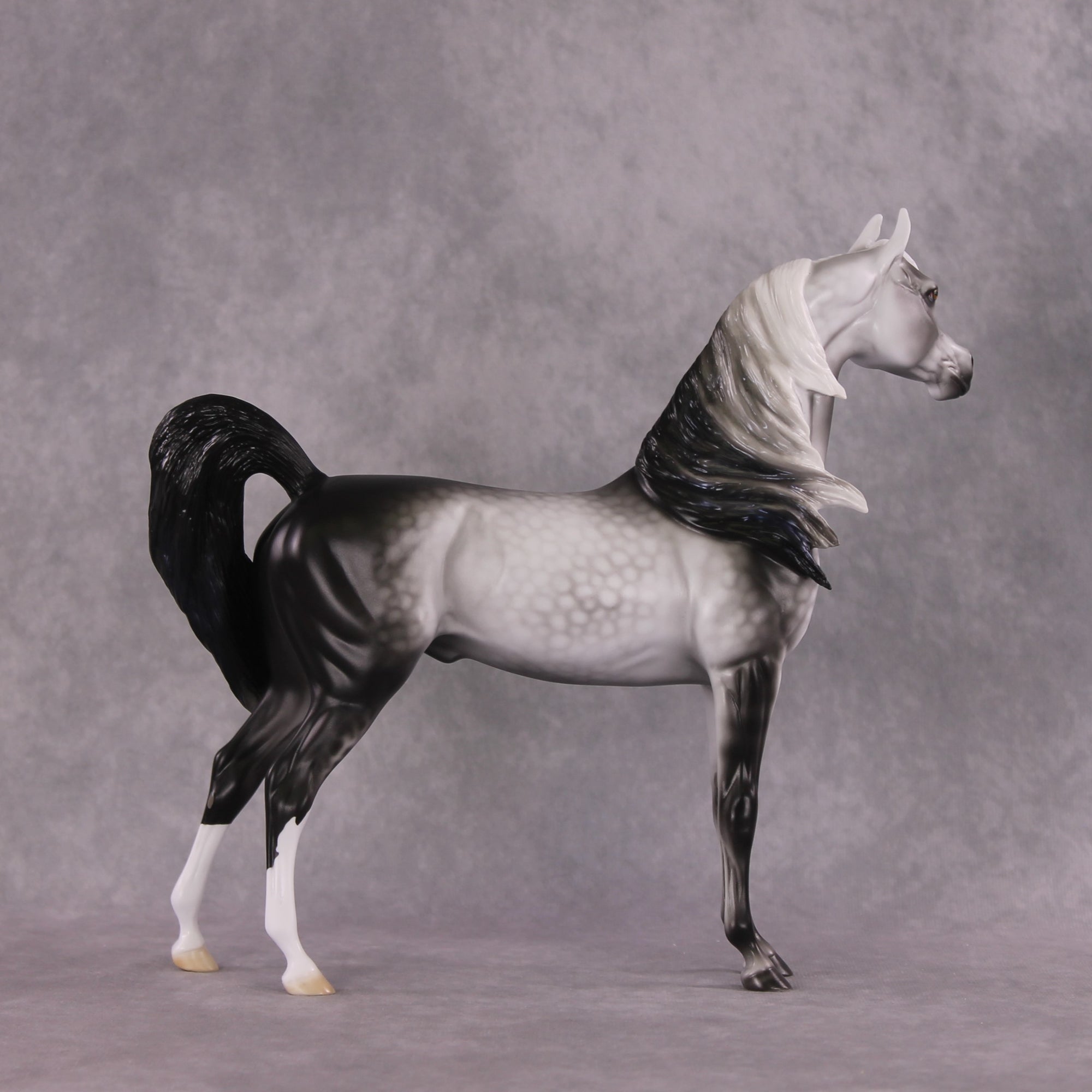 "Prospero" LE-15 Arabian Stallion By Ellen Robbins CL25