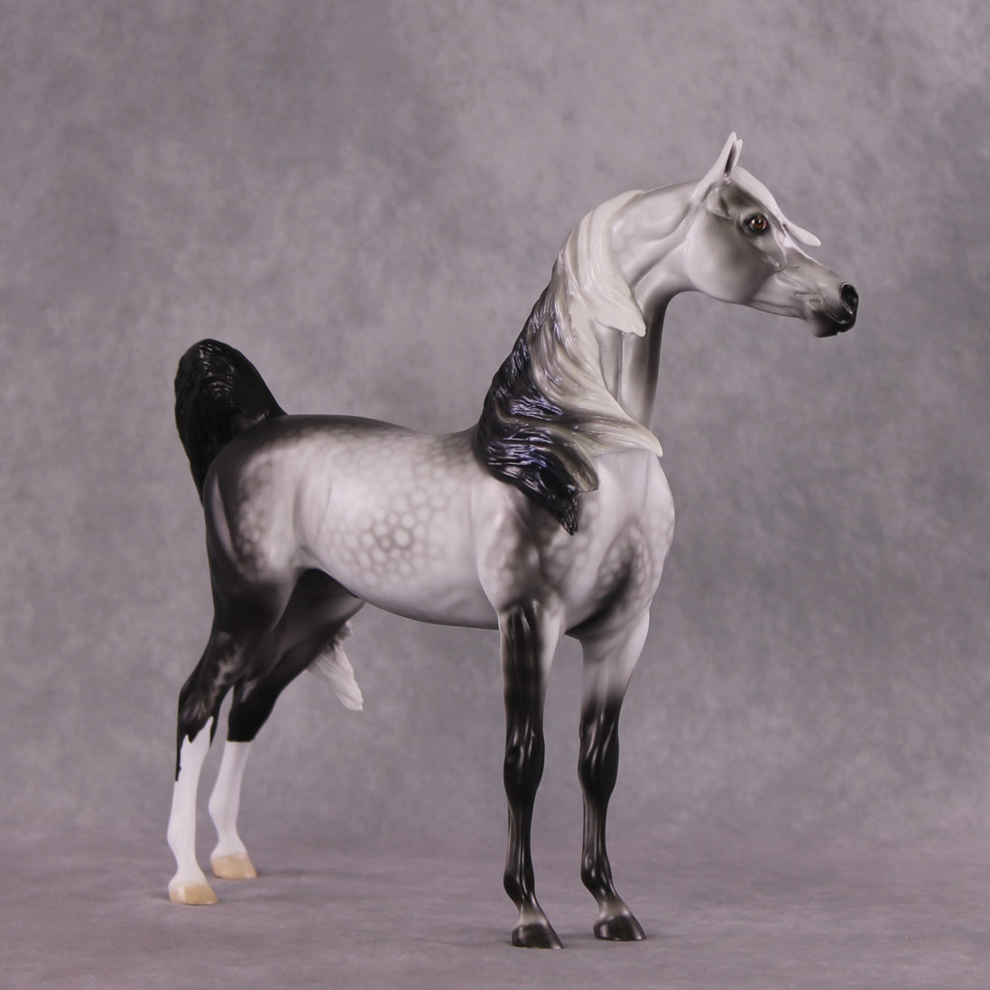 "Prospero" LE-15 Arabian Stallion By Ellen Robbins CL25