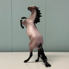 Thunder Bay OOAK Bay Roan Rearing Pebble By Ellen Robbins