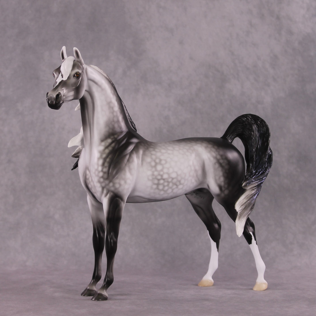 "Prospero" LE-15 Arabian Stallion By Ellen Robbins CL25