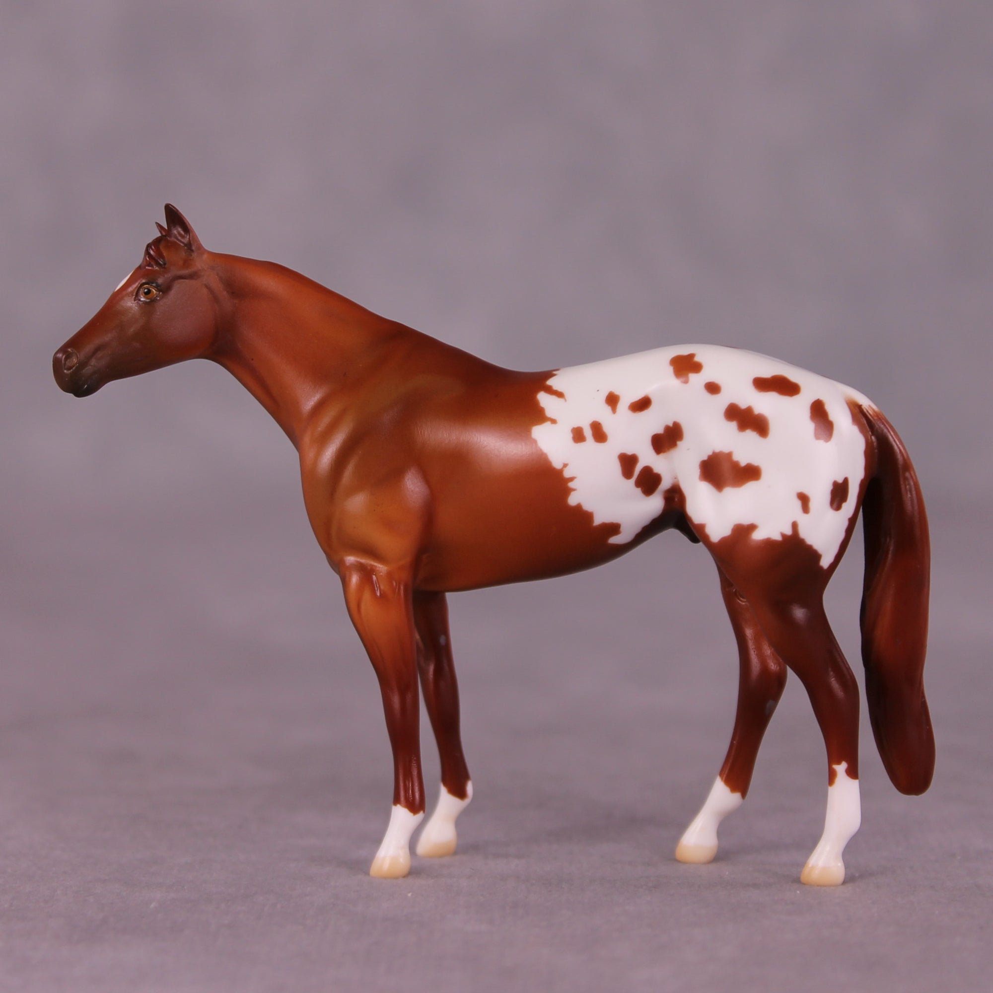 Bright Spot LE-5 by Anna Rieck August $99 Chips Sale