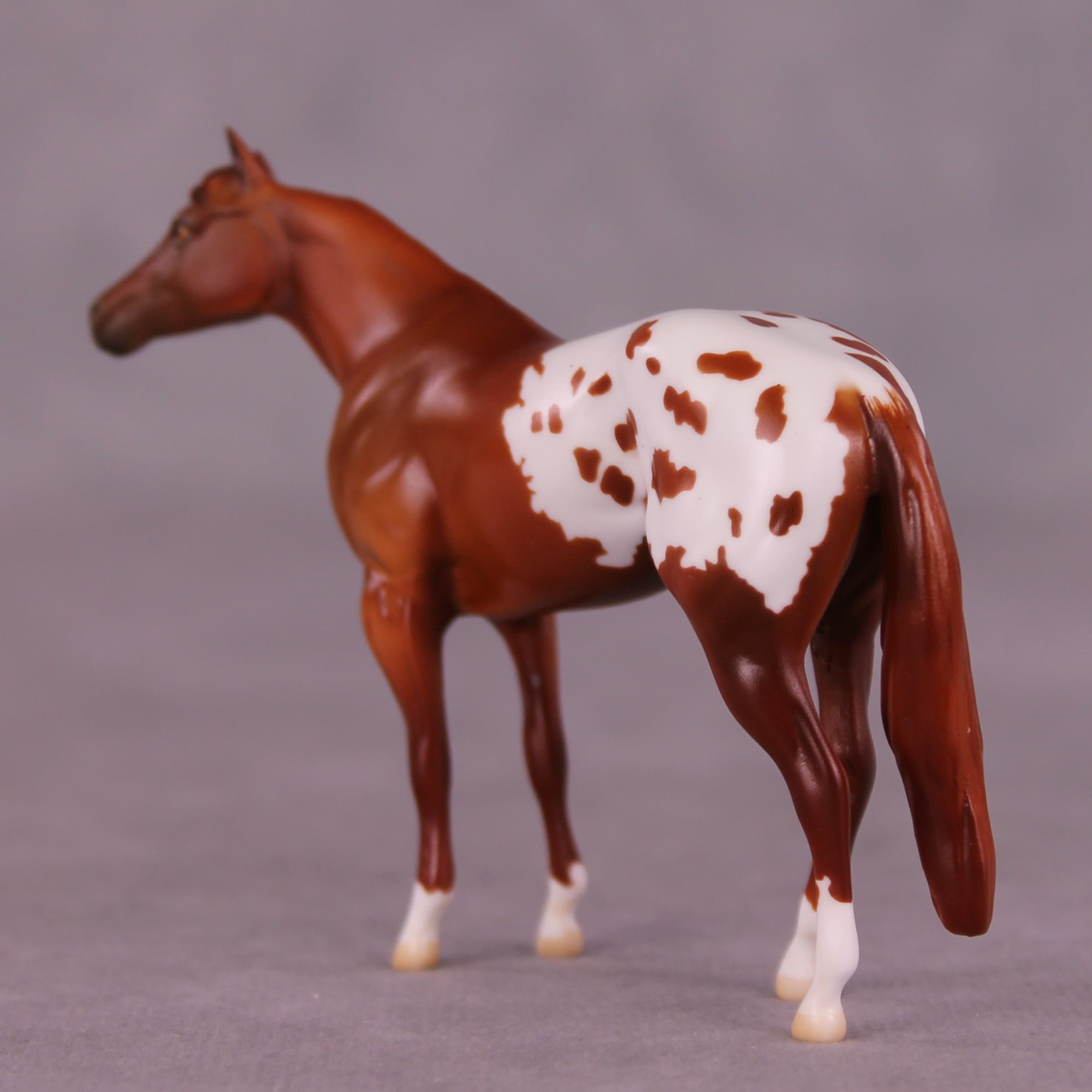 Bright Spot LE-5 by Anna Rieck August $99 Chips Sale