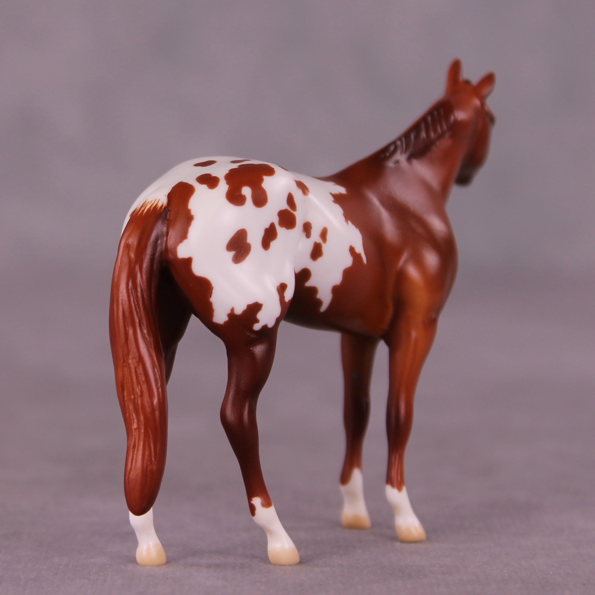 Bright Spot LE-5 by Anna Rieck August $99 Chips Sale