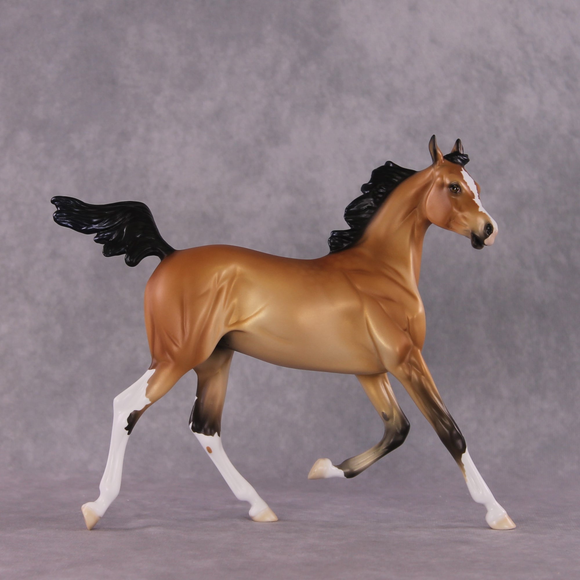 "Miranda" LE-15 FCM Arabian Yearling By Ellen Robbins CL25