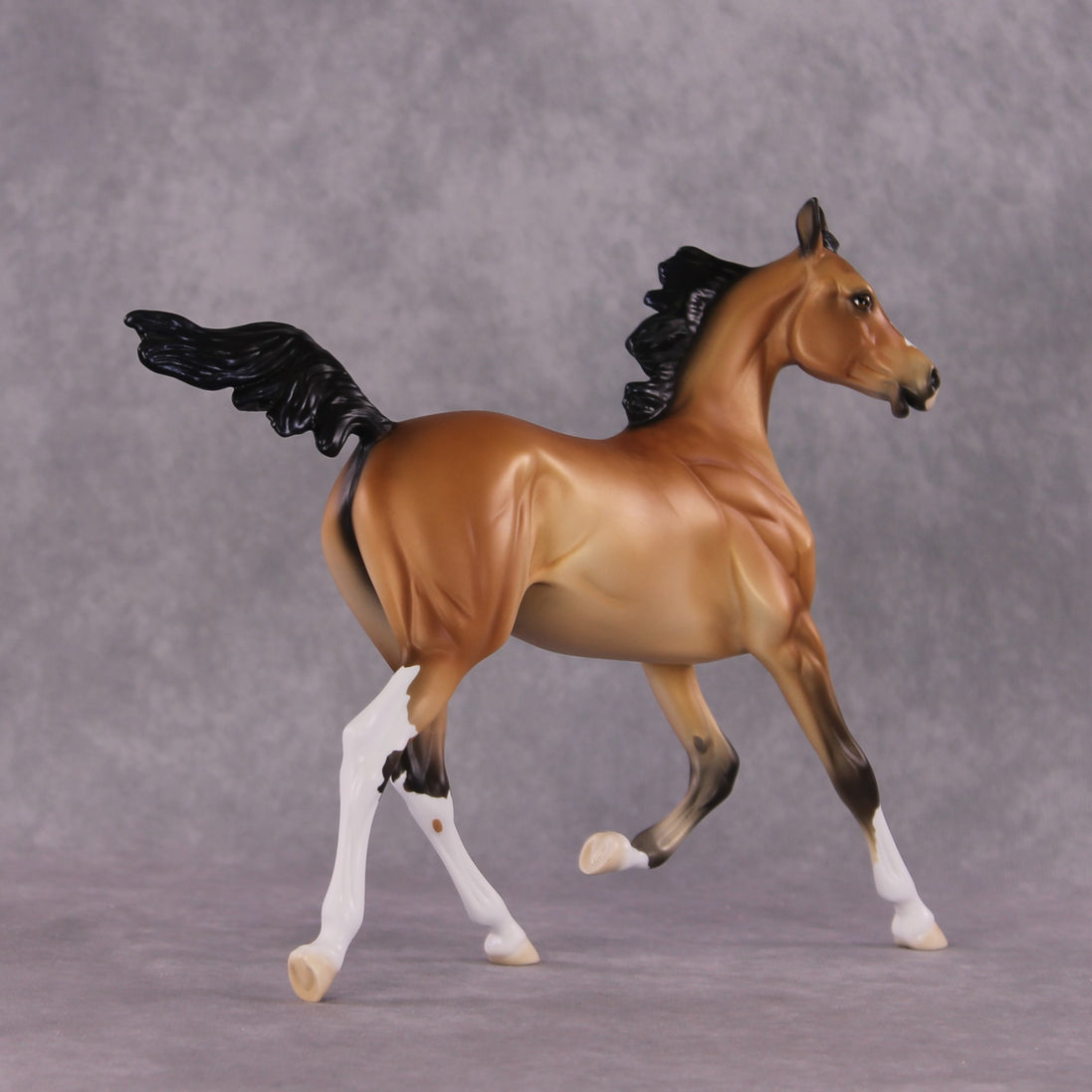 "Miranda" LE-15 FCM Arabian Yearling By Ellen Robbins CL25