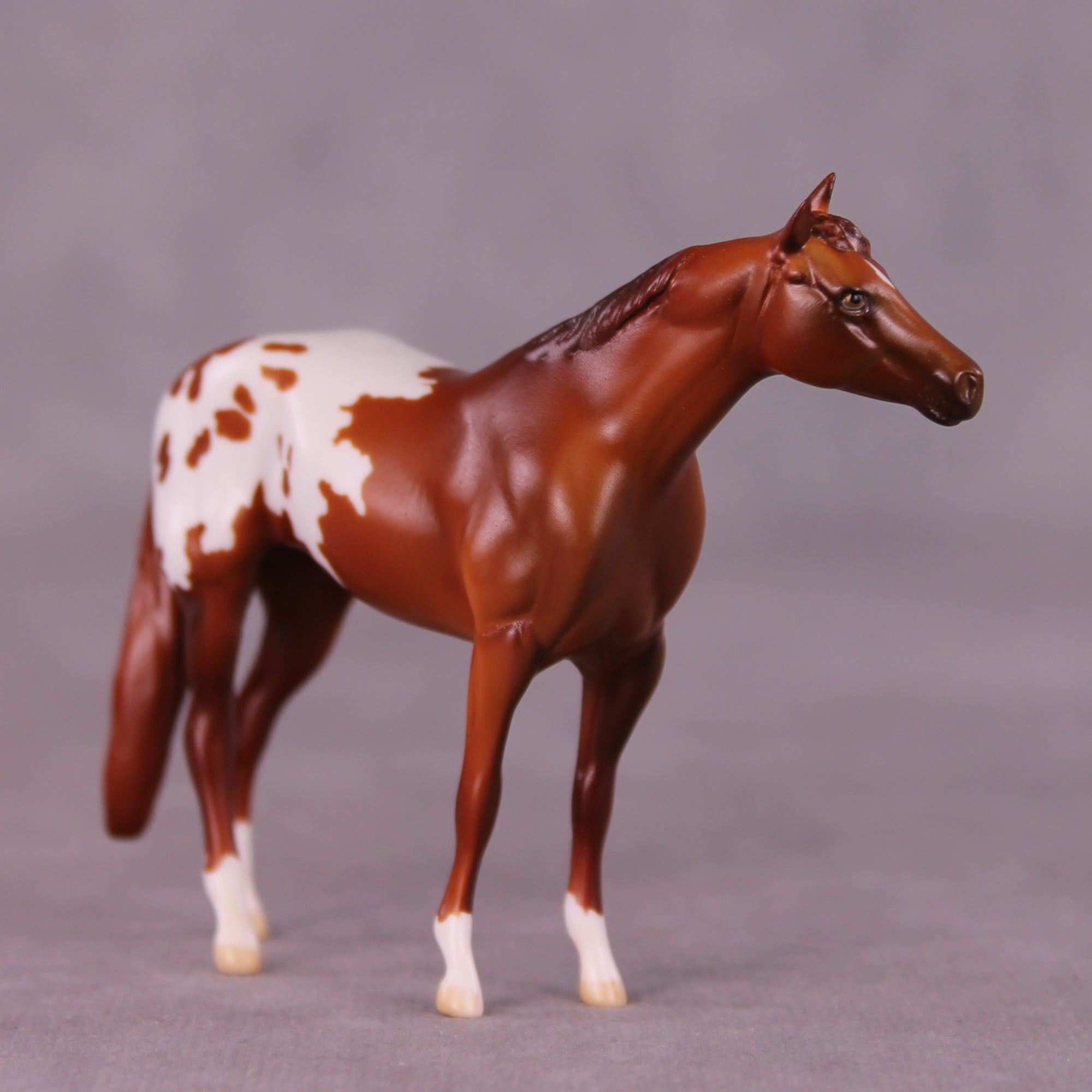 Bright Spot LE-5 by Anna Rieck August $99 Chips Sale