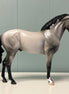 Blue Suede OOAK Blue Roan Andalusian By Ellen Robbins EQ24