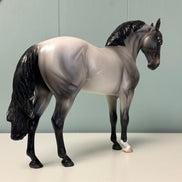 Blue Suede OOAK Blue Roan Andalusian By Ellen Robbins EQ24