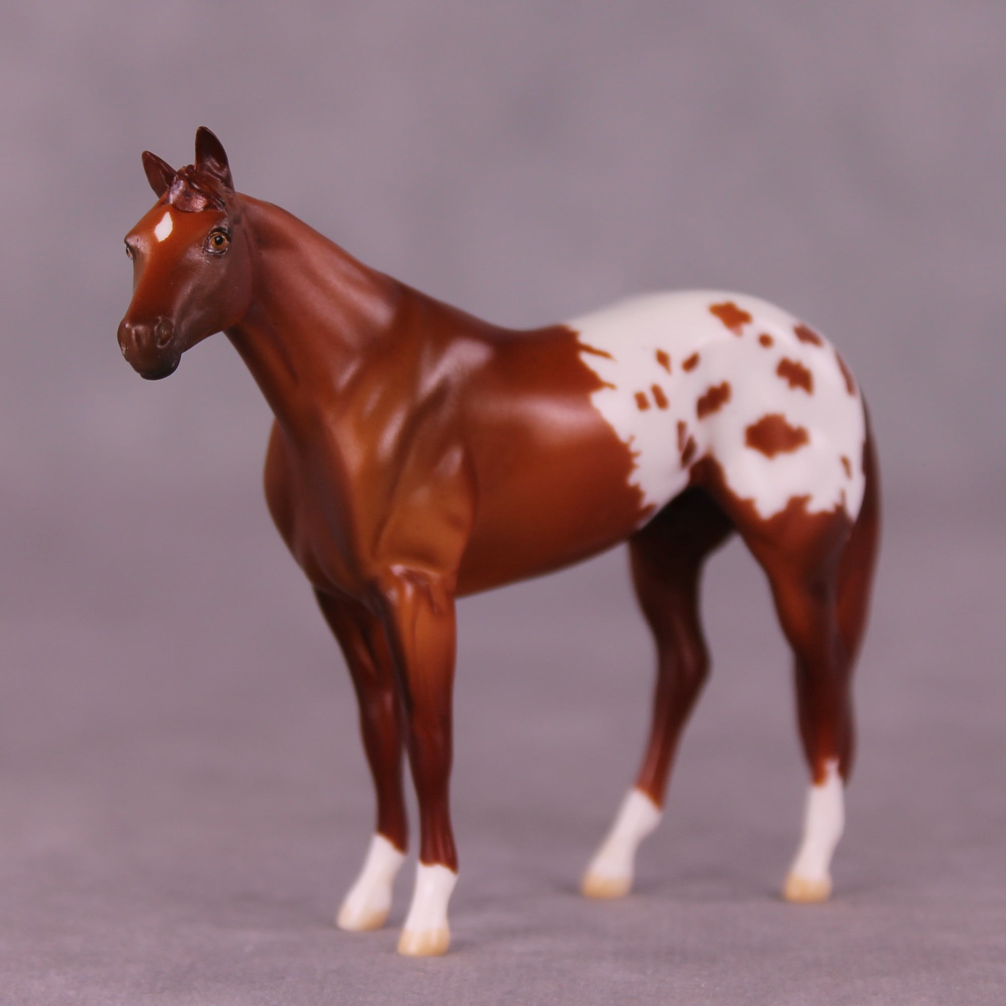 Bright Spot LE-5 by Anna Rieck August $99 Chips Sale