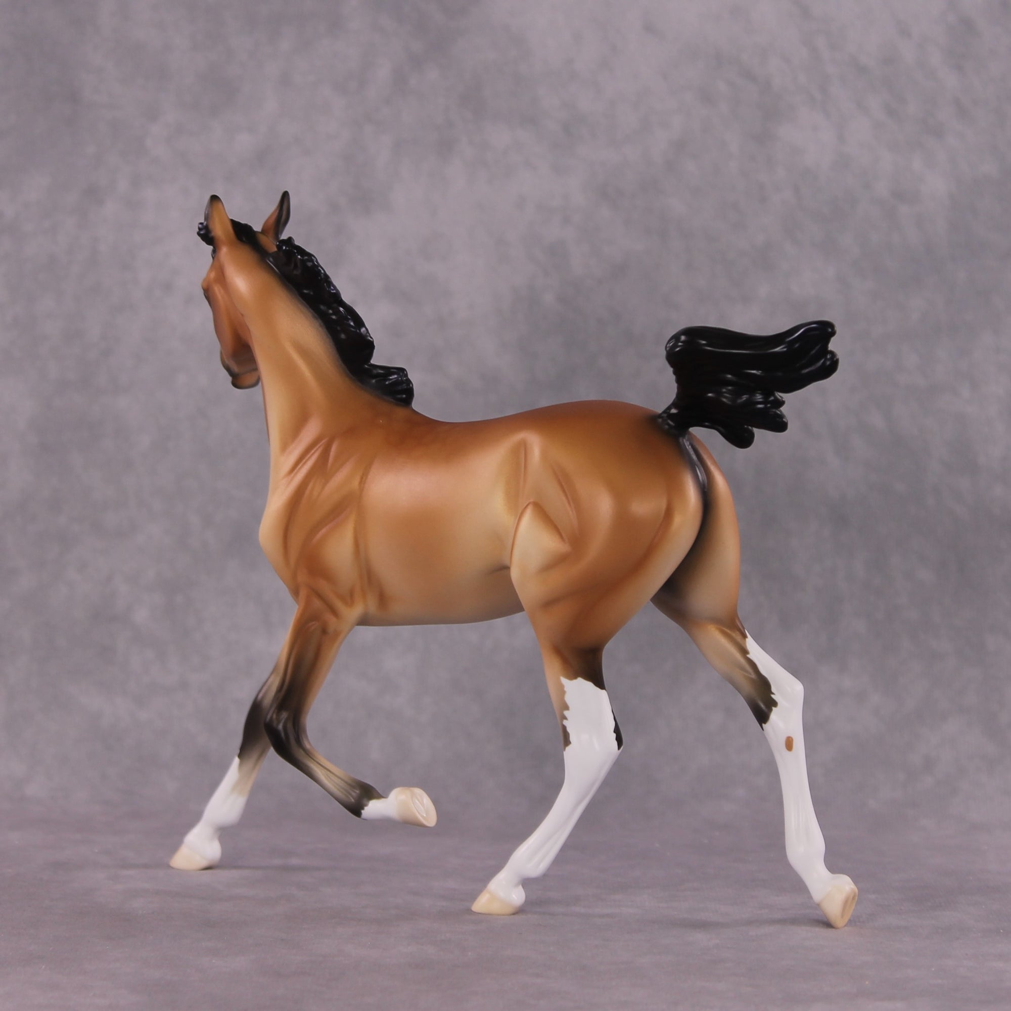 "Miranda" LE-15 FCM Arabian Yearling By Ellen Robbins CL25