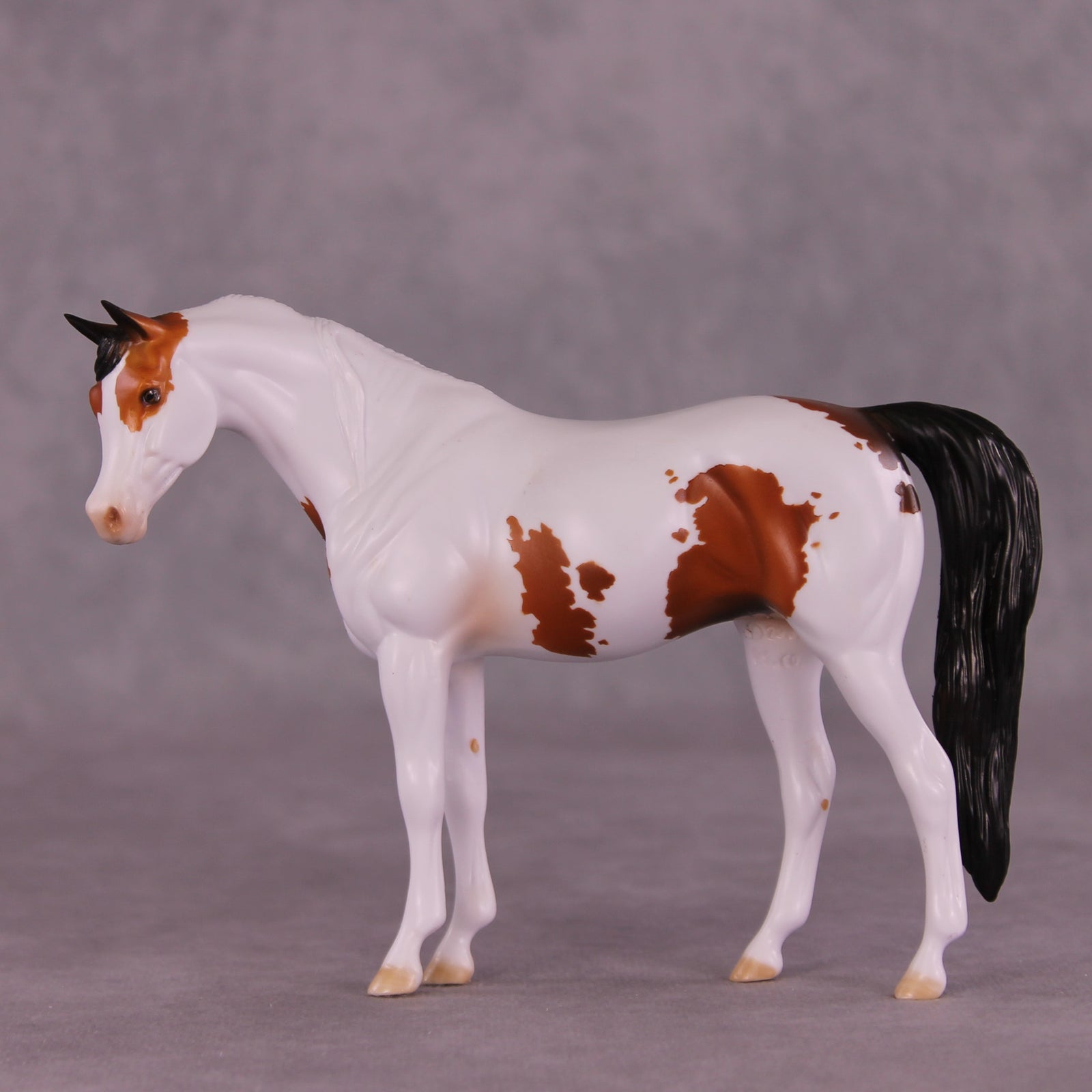 Fearless OOAK Pebble Arabian by Dawn Quick LHS25
