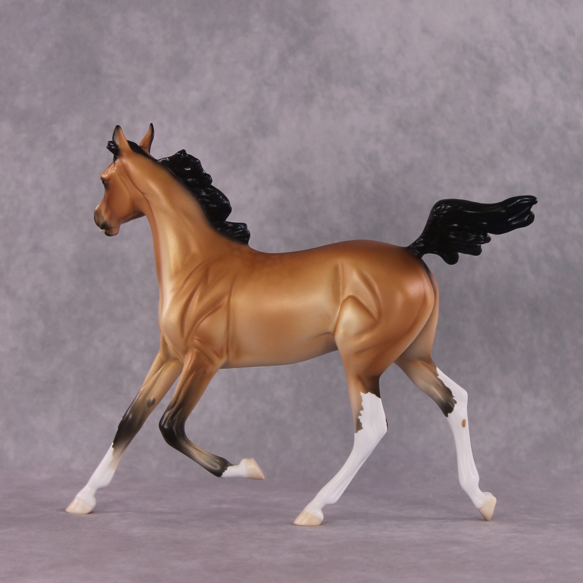"Miranda" LE-15 FCM Arabian Yearling By Ellen Robbins CL25
