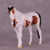 Fearless OOAK Pebble Arabian by Dawn Quick LHS25