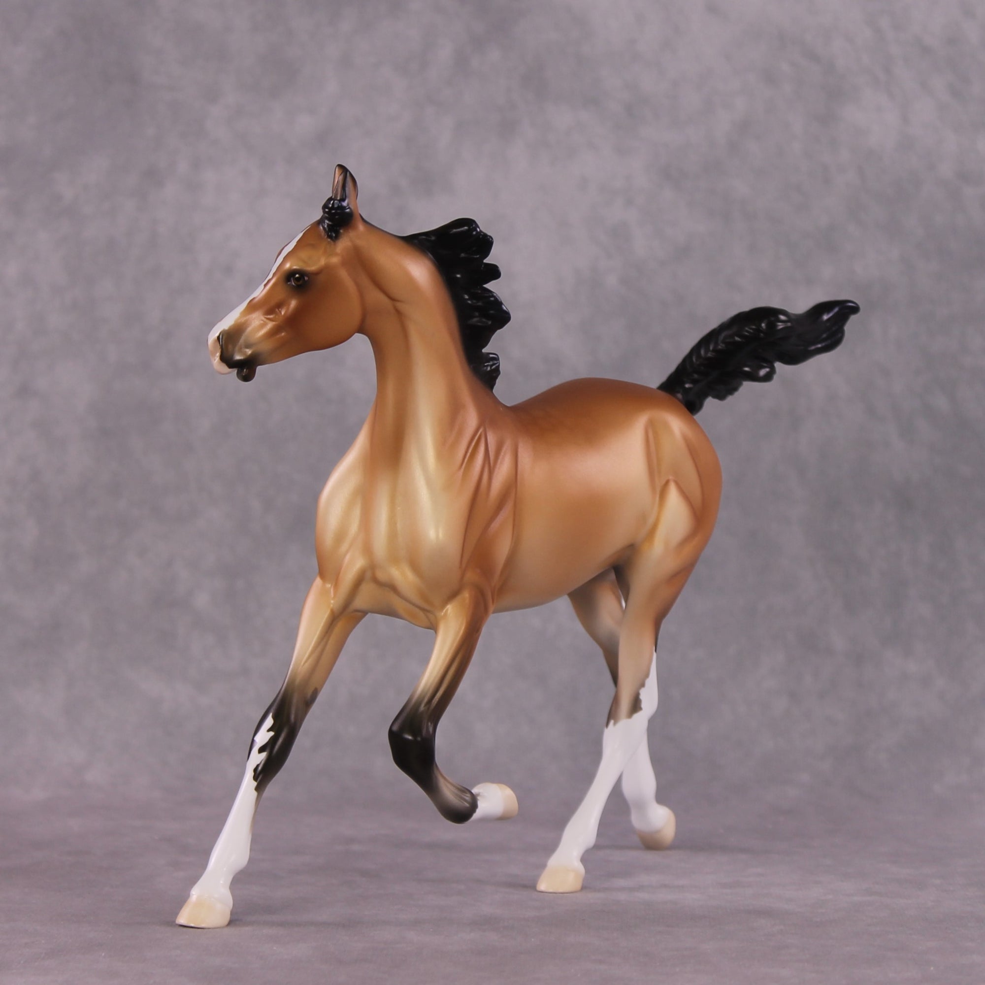 "Miranda" LE-15 FCM Arabian Yearling By Ellen Robbins CL25