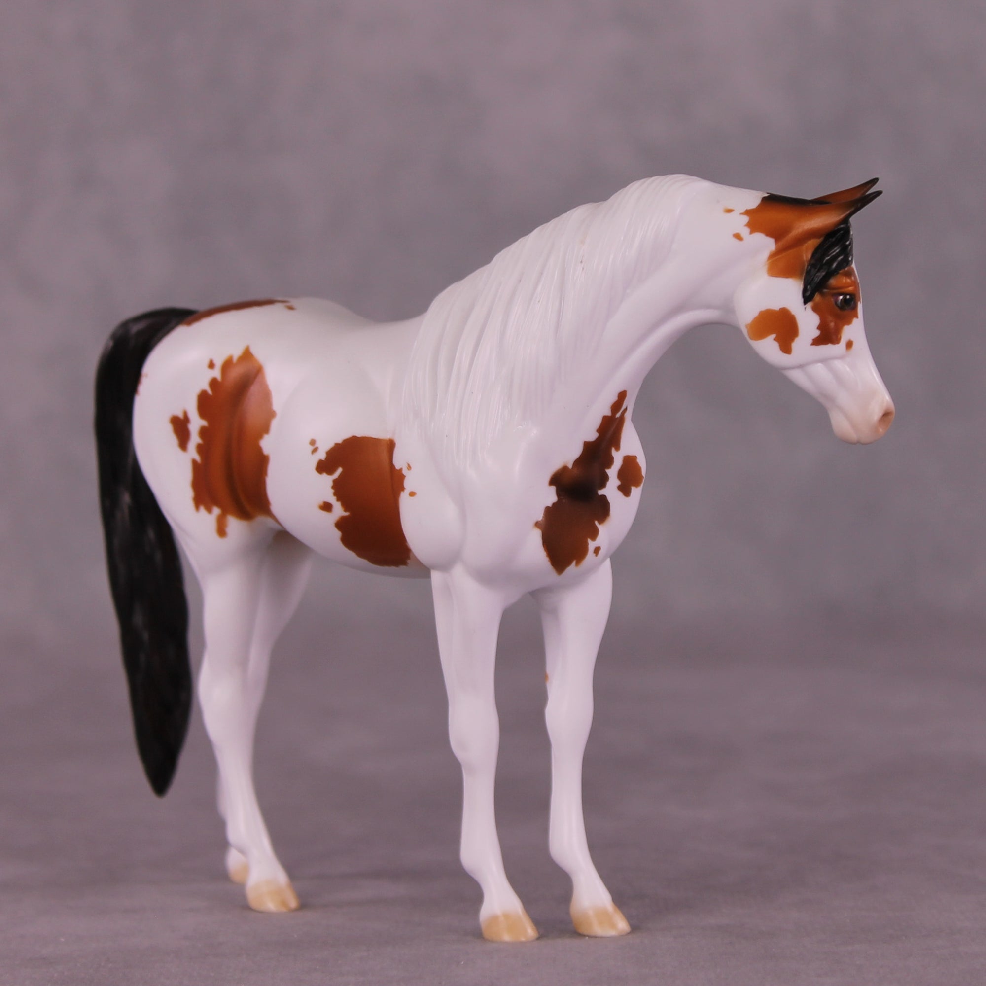 Fearless OOAK Pebble Arabian by Dawn Quick LHS25