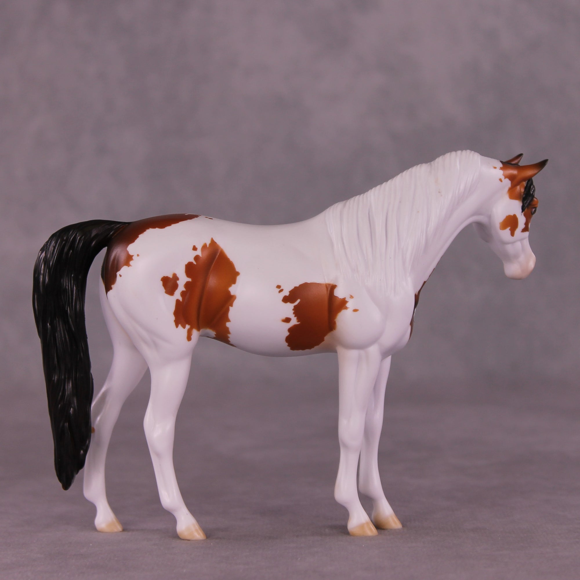 Fearless OOAK Pebble Arabian by Dawn Quick LHS25