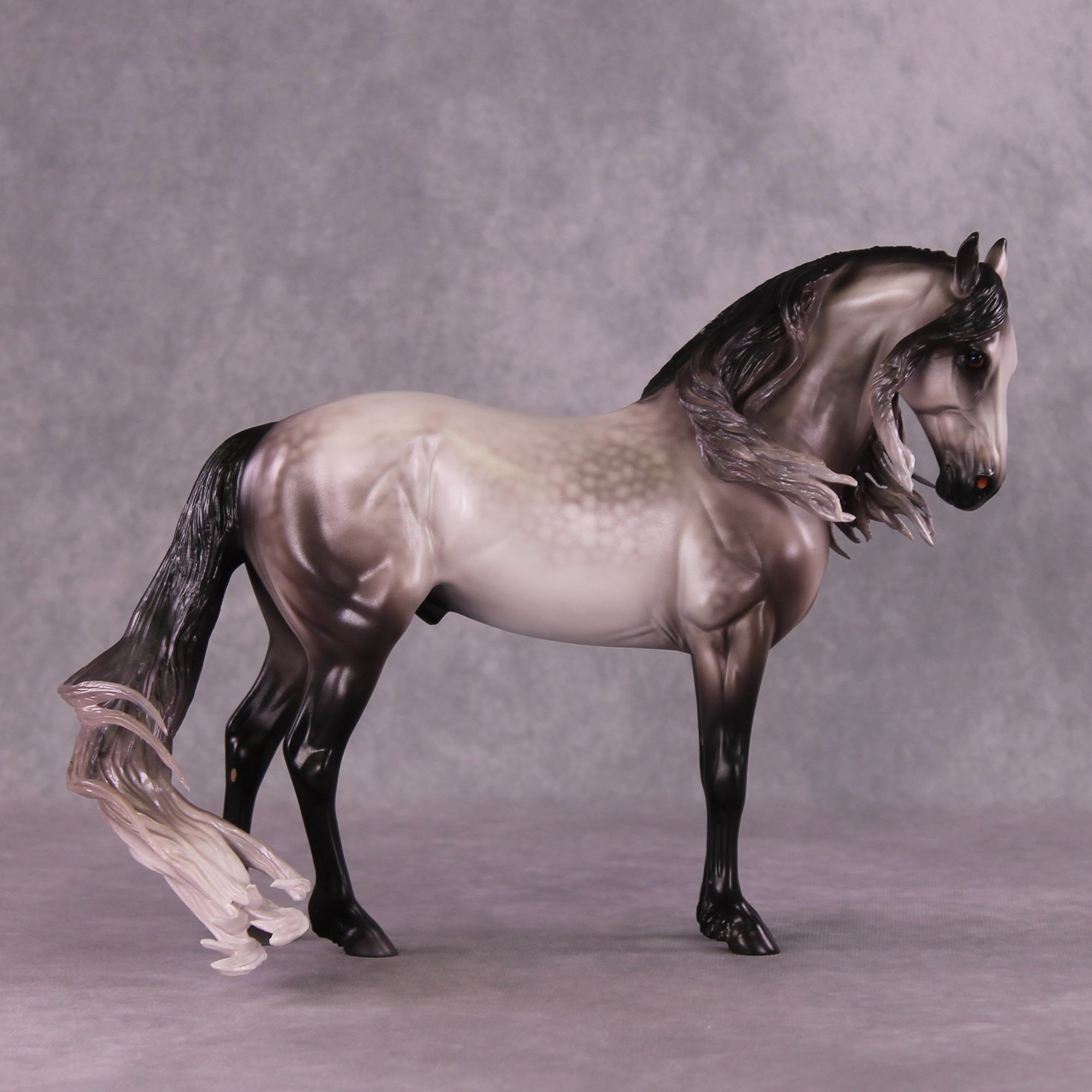 "Rocket Man" OOAK FCM Andalusian By Caroline Boydston Best Offer 6/3/25