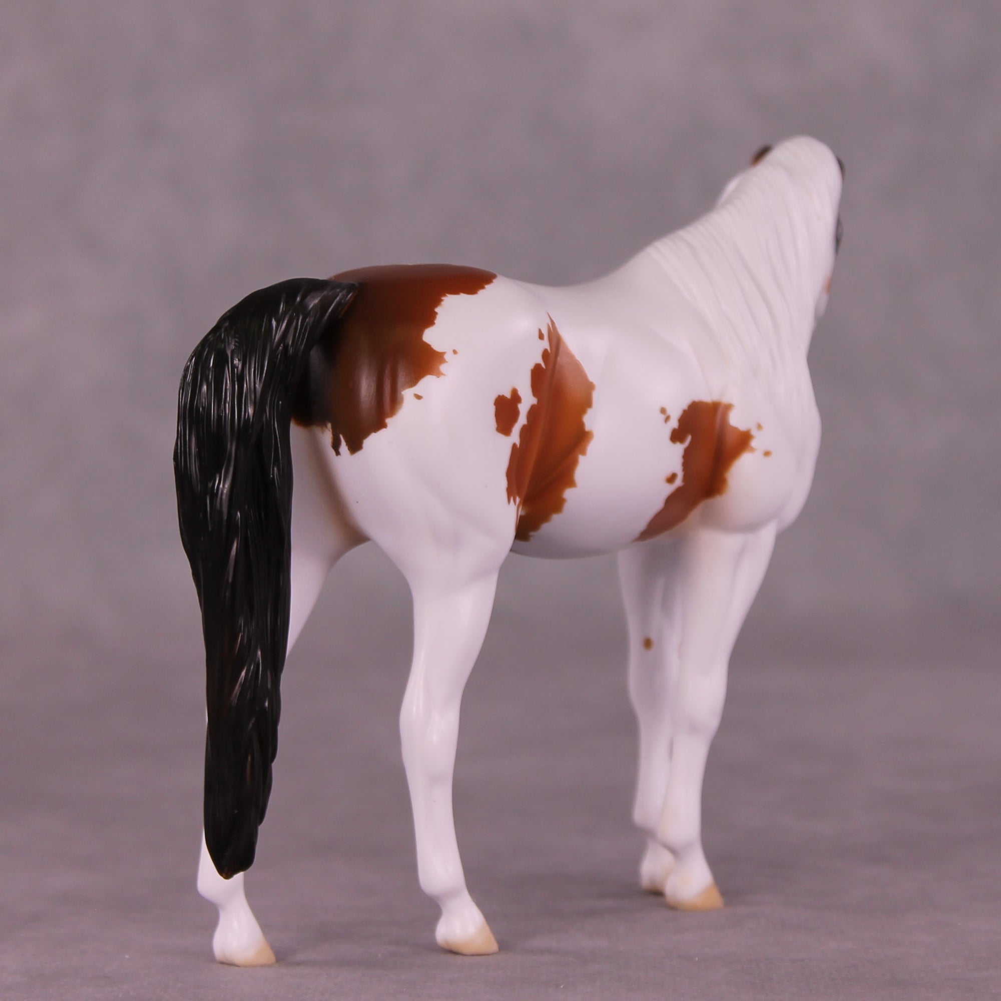 Fearless OOAK Pebble Arabian by Dawn Quick LHS25