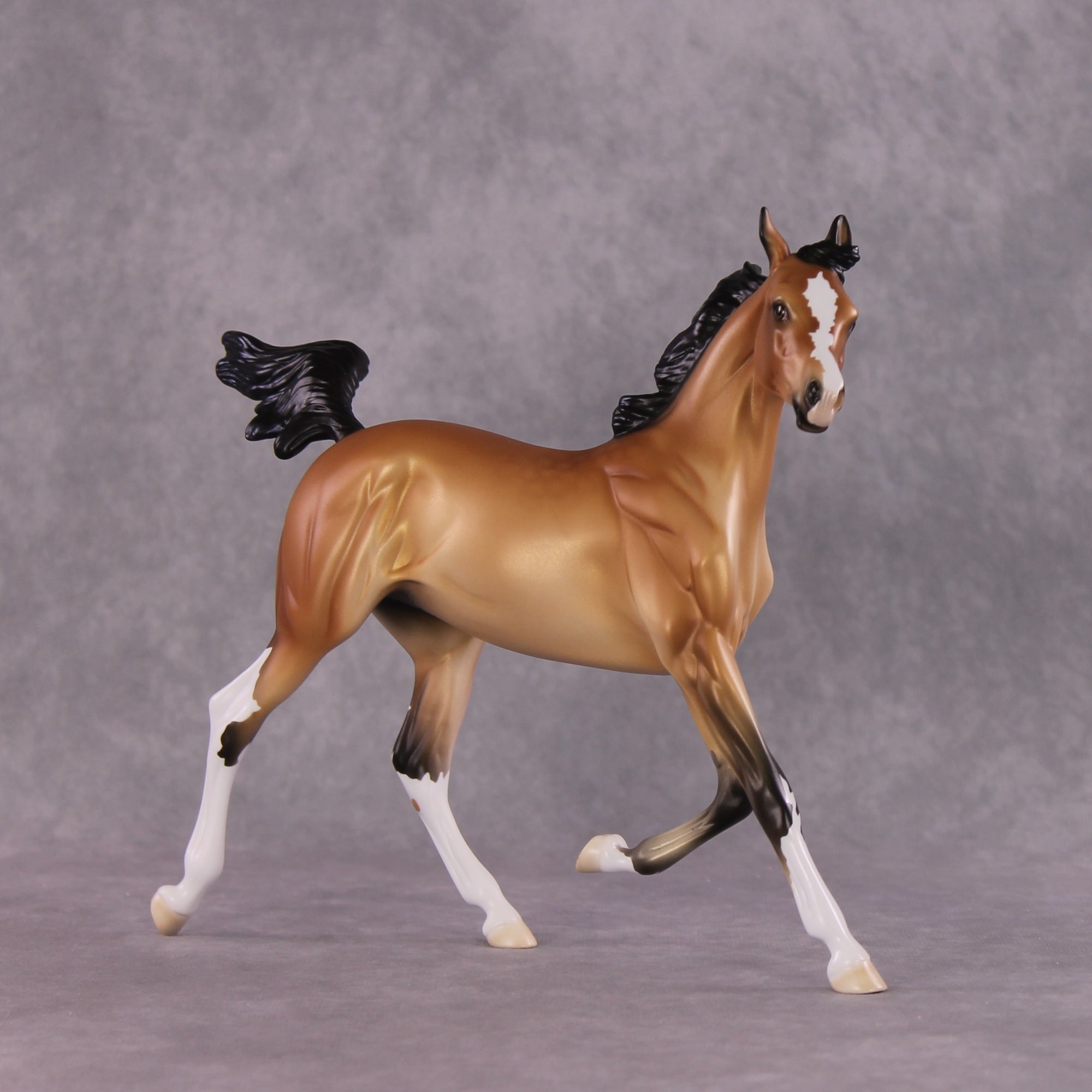 "Miranda" LE-15 FCM Arabian Yearling By Ellen Robbins CL25