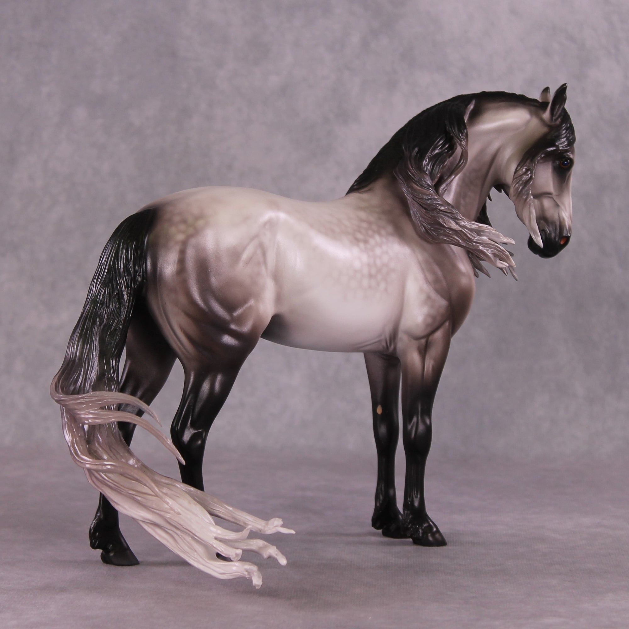 "Rocket Man" OOAK FCM Andalusian By Caroline Boydston Best Offer 6/3/25