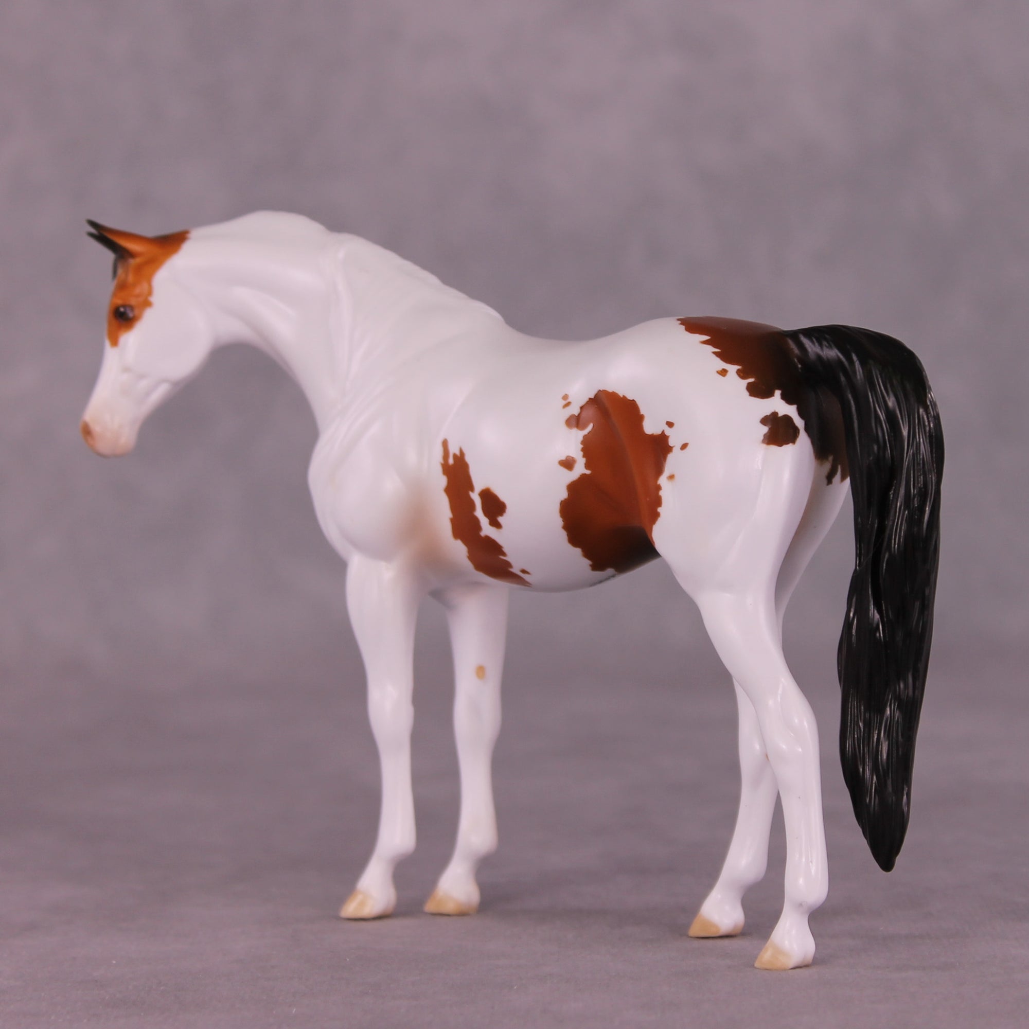 Fearless OOAK Pebble Arabian by Dawn Quick LHS25