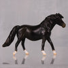 Meeney OOAK Series of 20 Shetland Ponies Black Pony Chip By Jamie Adamson LHS24