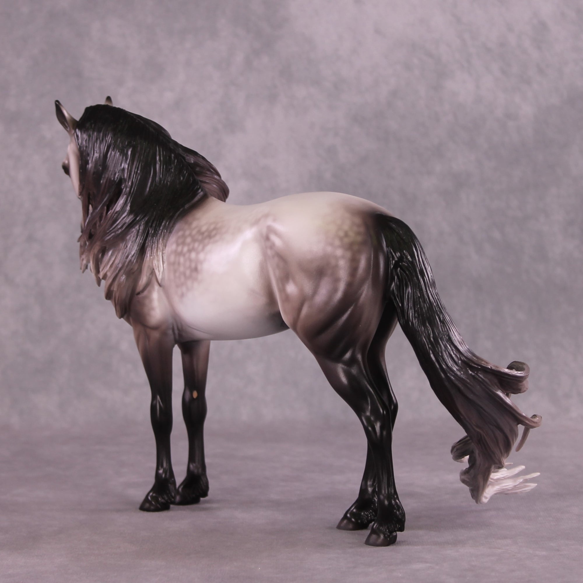 "Rocket Man" OOAK FCM Andalusian By Caroline Boydston Best Offer 6/3/25