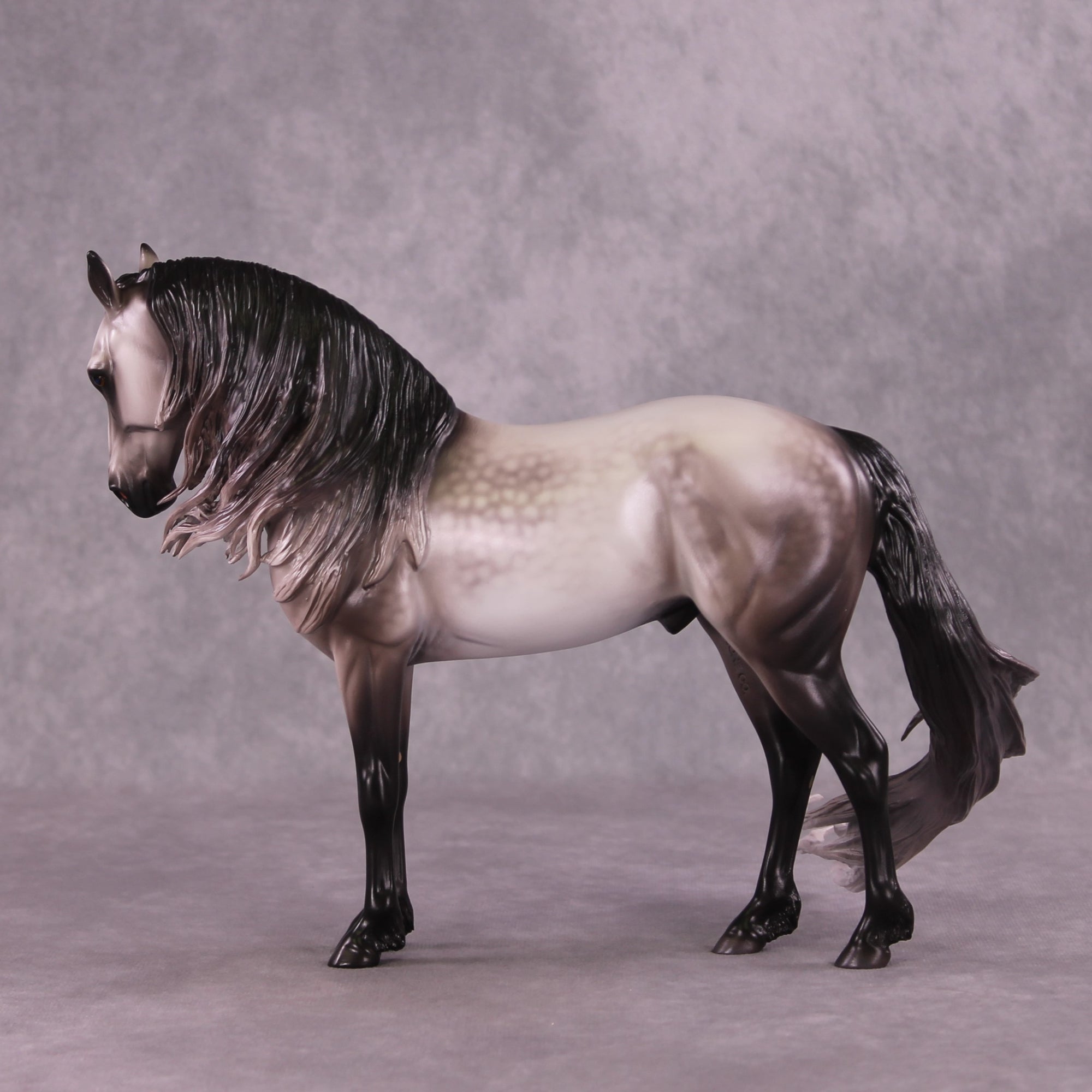 "Rocket Man" OOAK FCM Andalusian By Caroline Boydston Best Offer 6/3/25