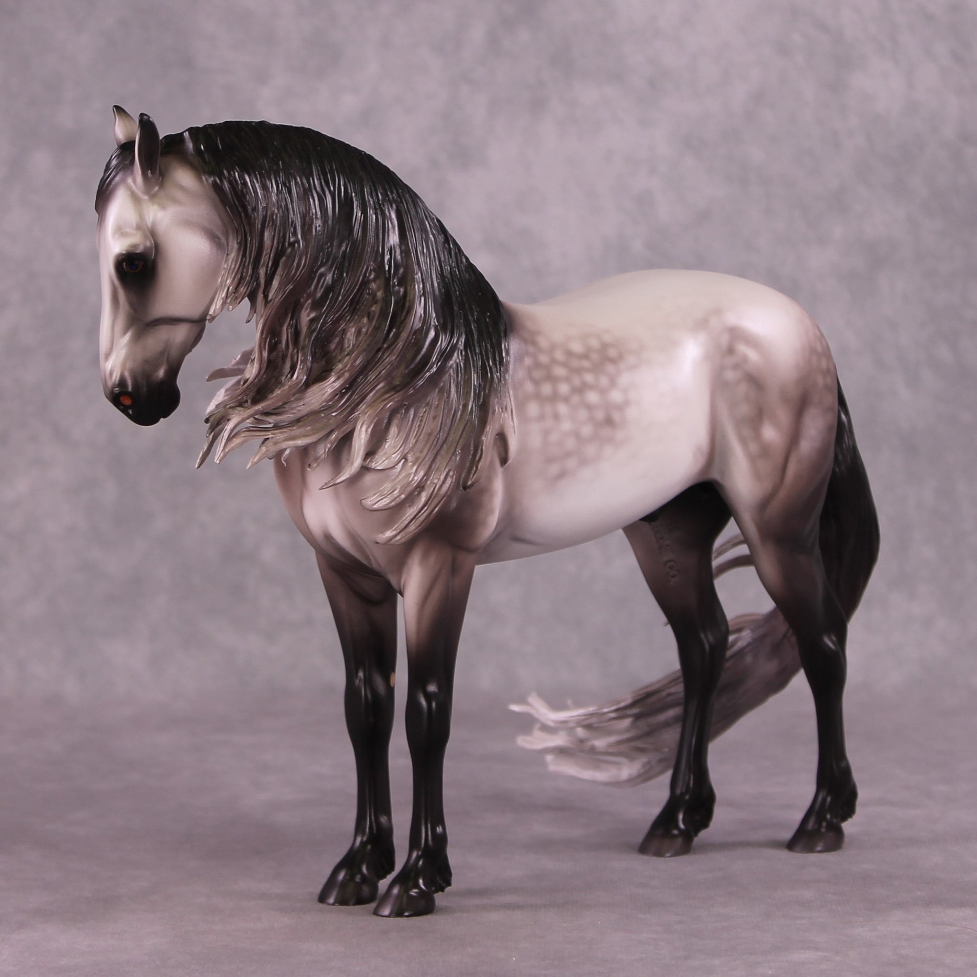 "Rocket Man" OOAK FCM Andalusian By Caroline Boydston Best Offer 6/3/25