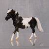 Eenie OOAK Series of 20 Shetland Ponies Black Pinto Pony Chip By Jamie Adamson LHS24