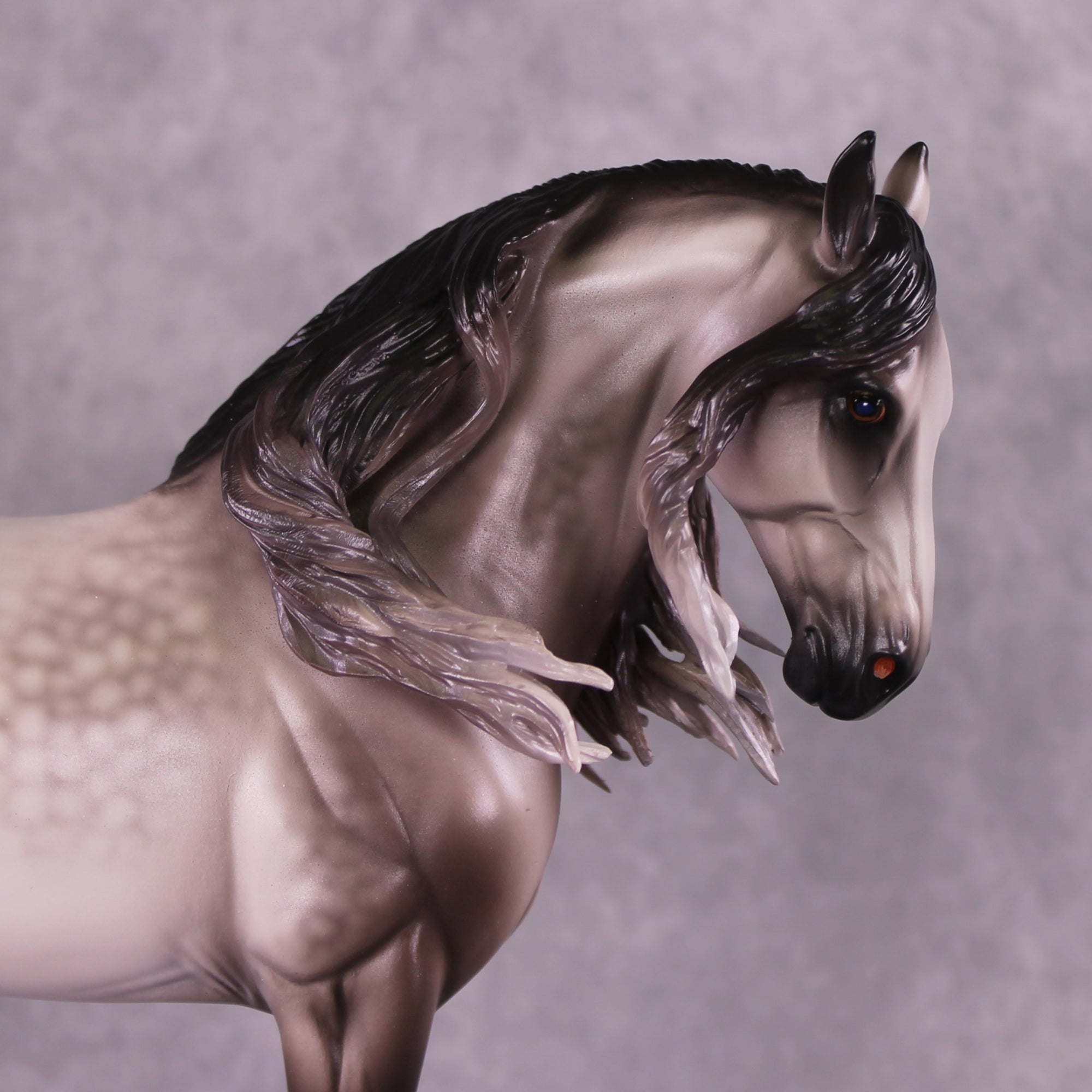 "Rocket Man" OOAK FCM Andalusian By Caroline Boydston Best Offer 6/3/25