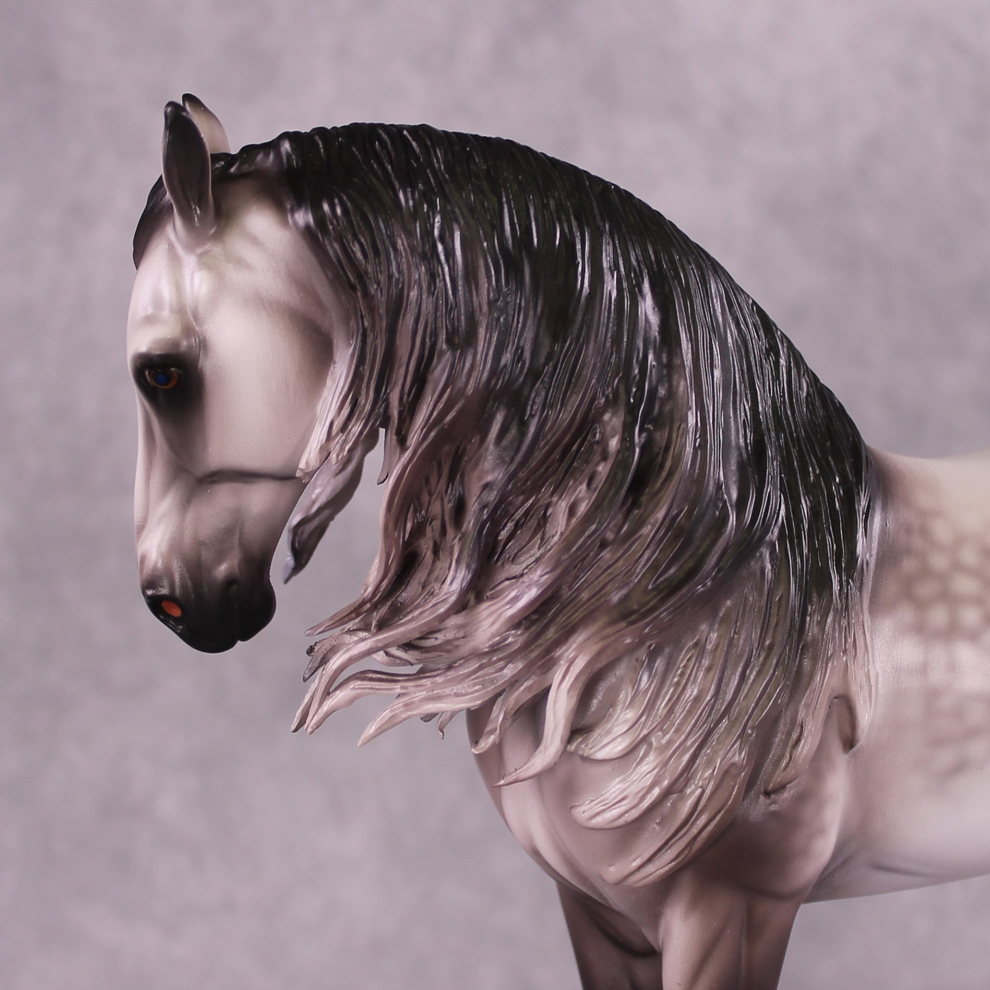 "Rocket Man" OOAK FCM Andalusian By Caroline Boydston Best Offer 6/3/25