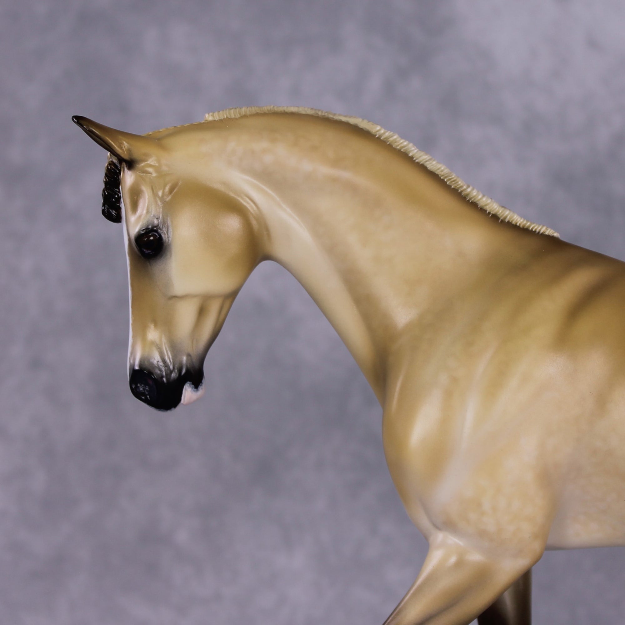 "Purdy Faux" Best Offer OOAK Custom Thoroughbred by Tiffany Purdy 4/29/2025